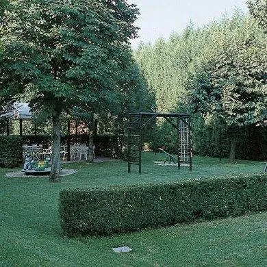 Garden in Hotel La Corte