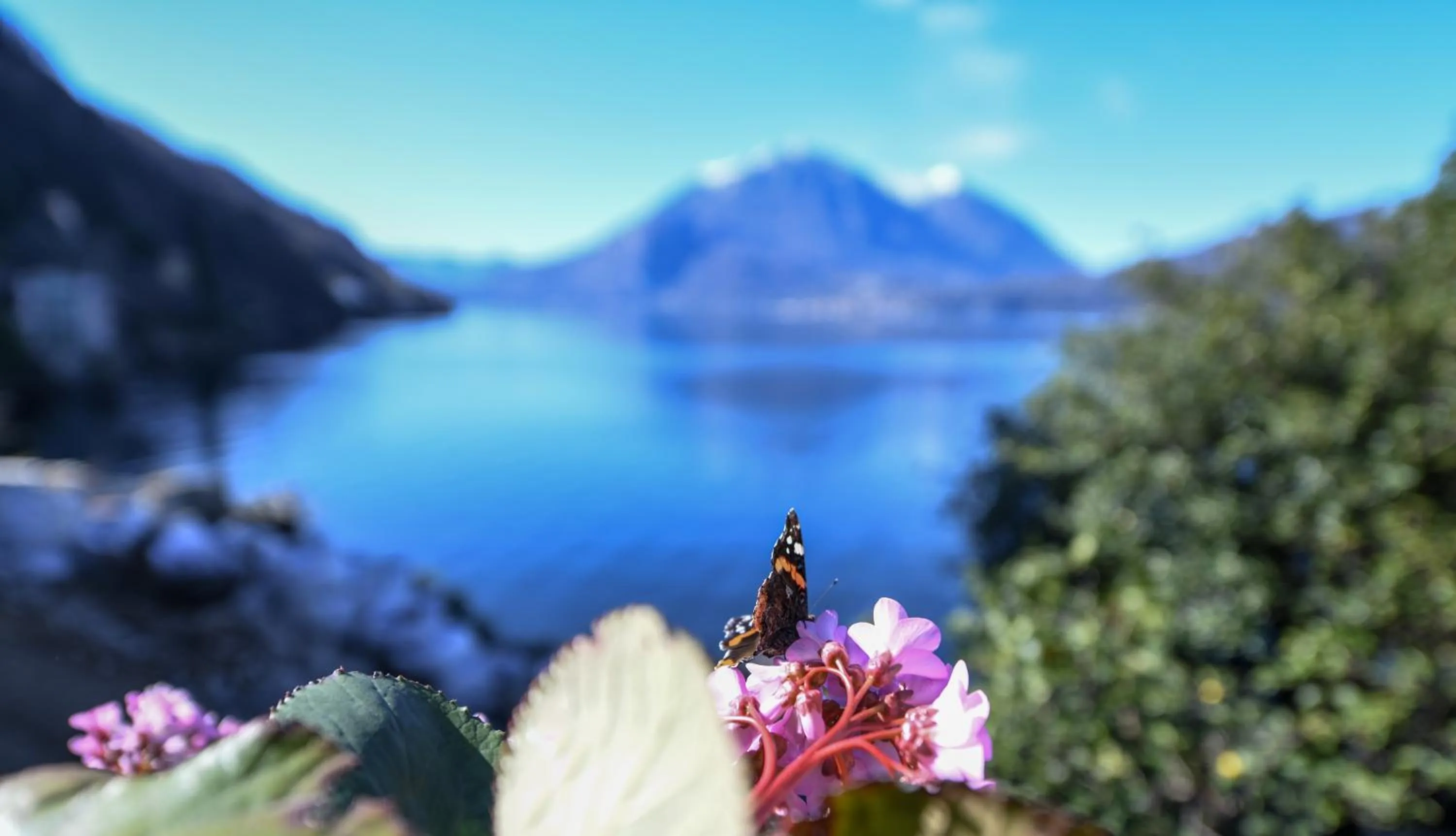 View (from property/room) in Villa Rêverie - Boutique Hotel