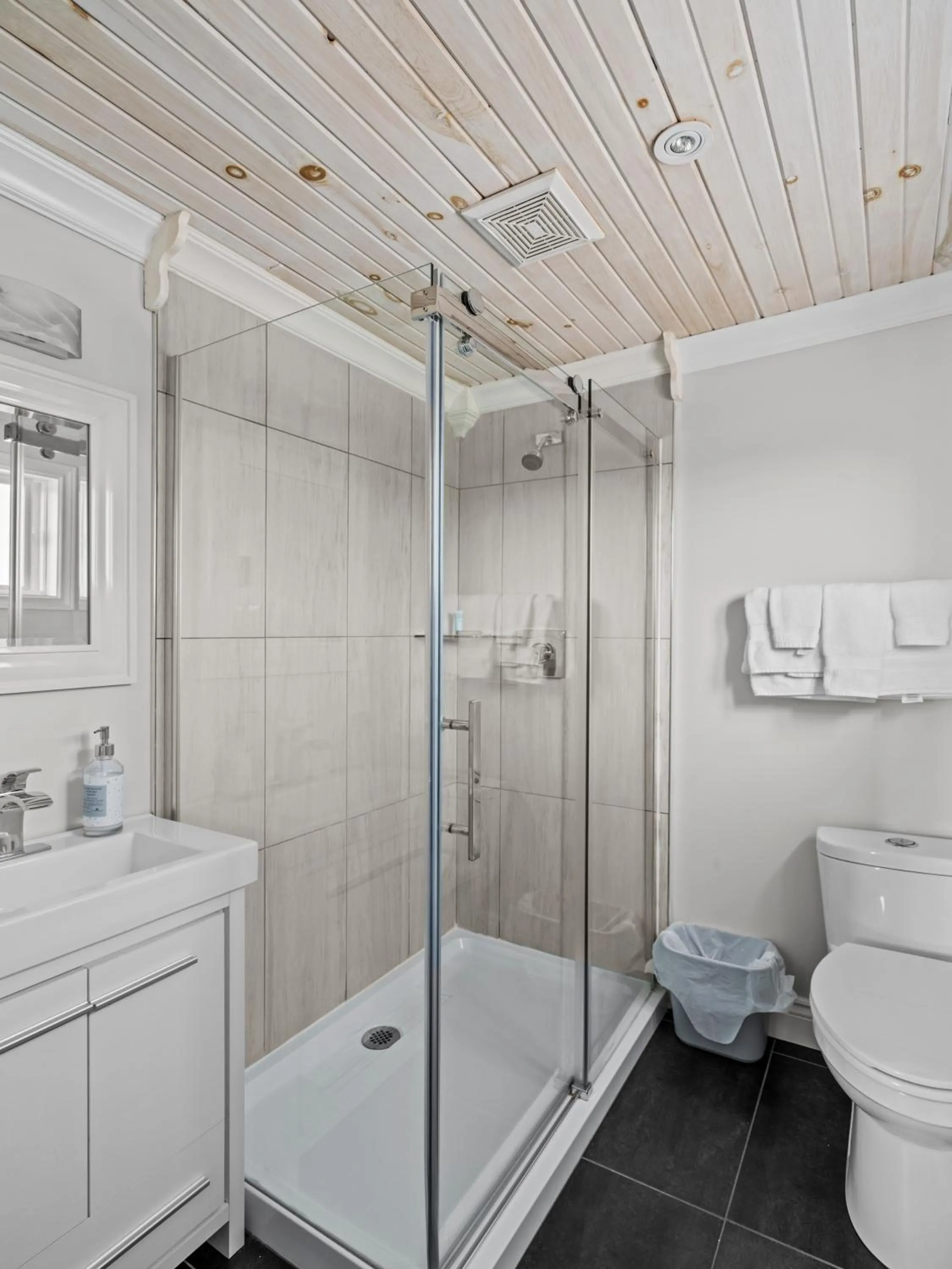 Shower in Edge of the Avalon Inn