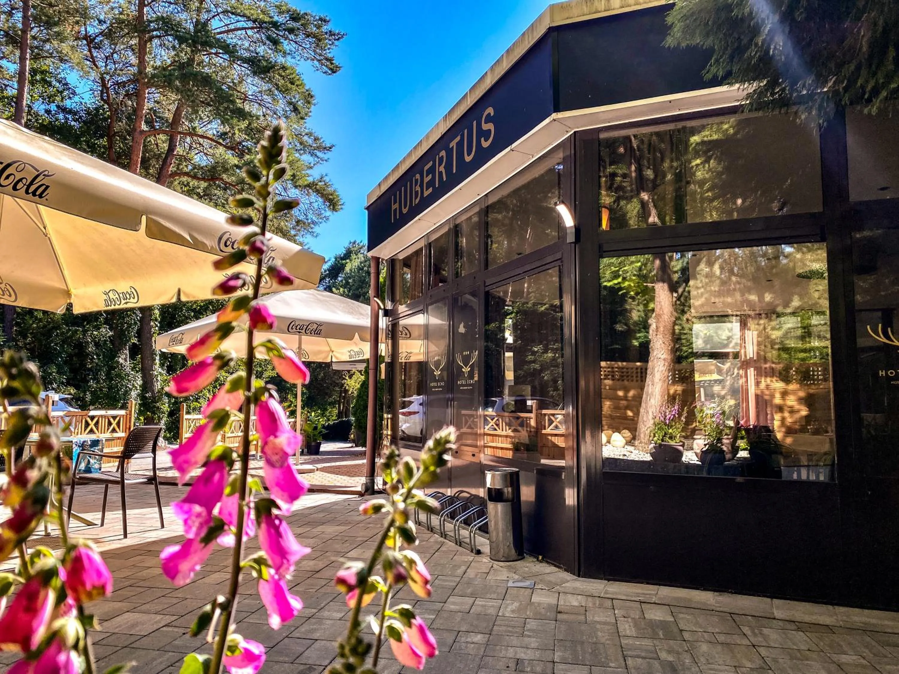 Restaurant/places to eat in Hotel Echo