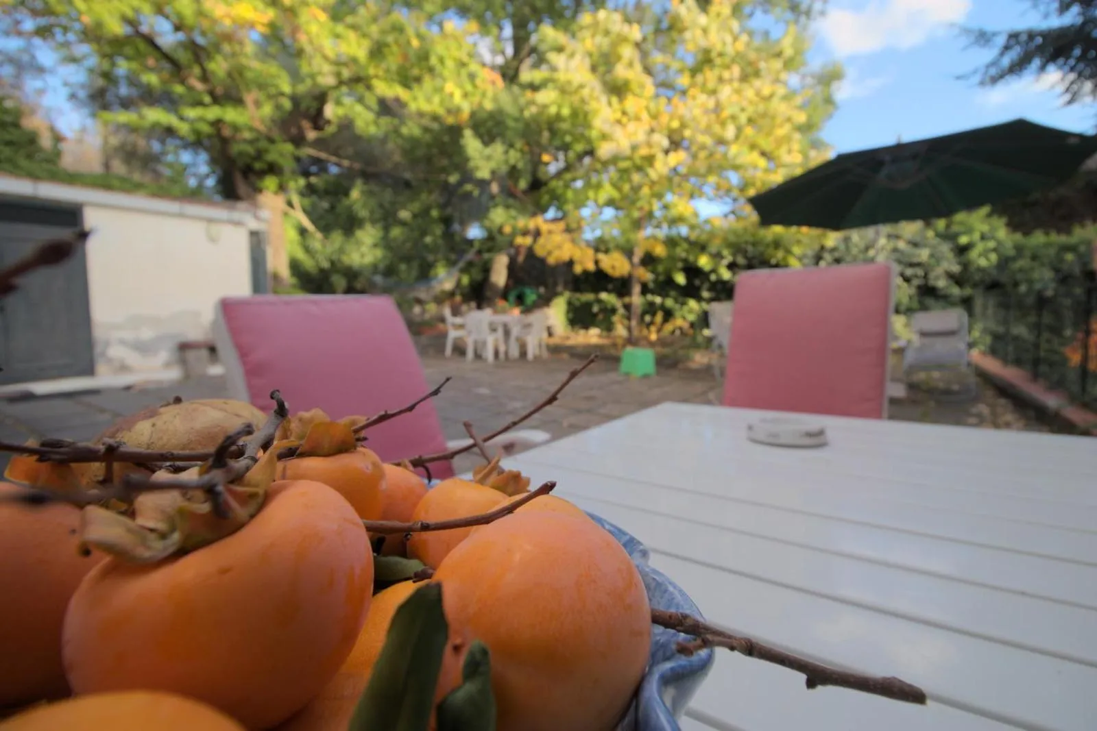 Magma Guest House