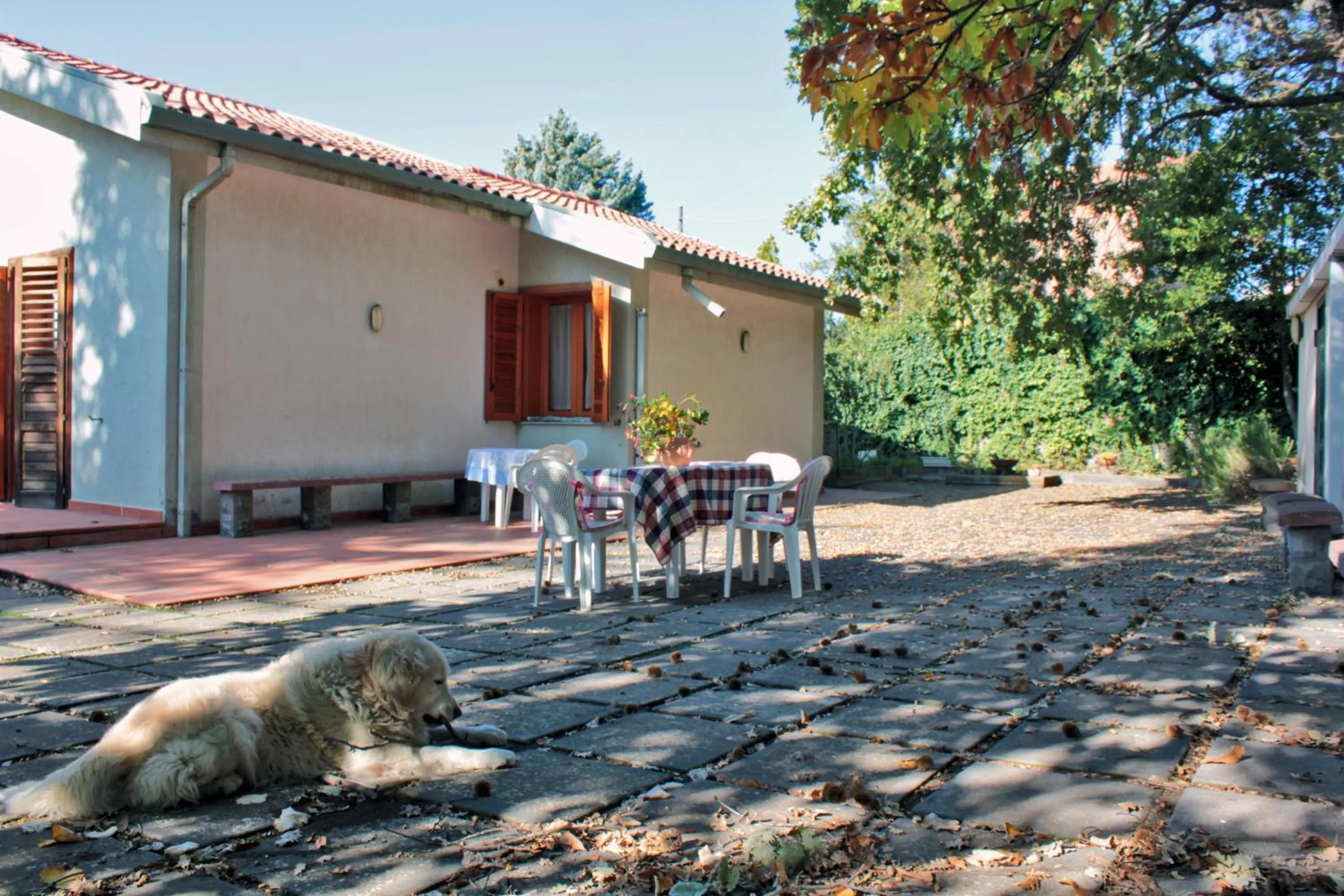 Garden in Magma Guest House