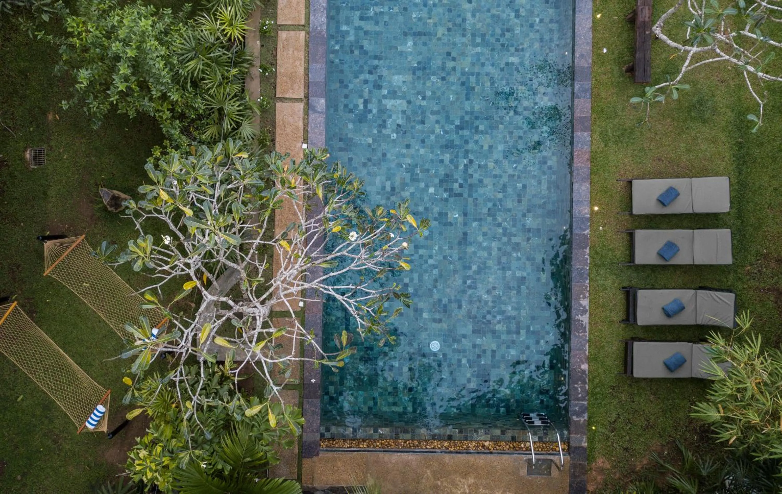 Bird's eye view in Bilin Tree House