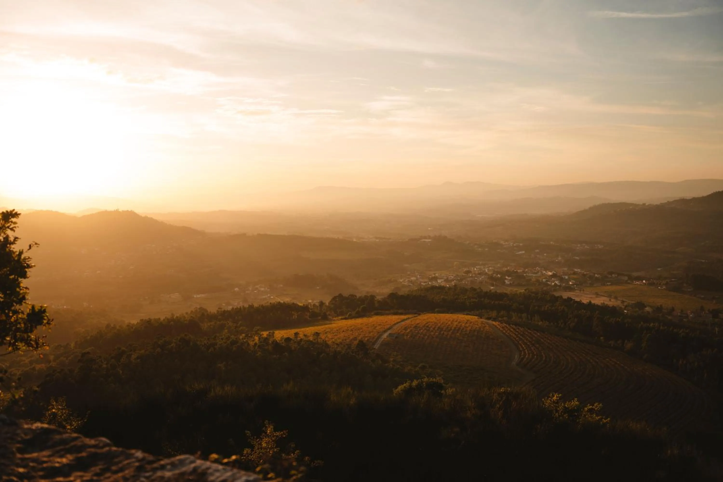 Natural landscape in The Vinea Collection Hotel by Piamonte Hotels