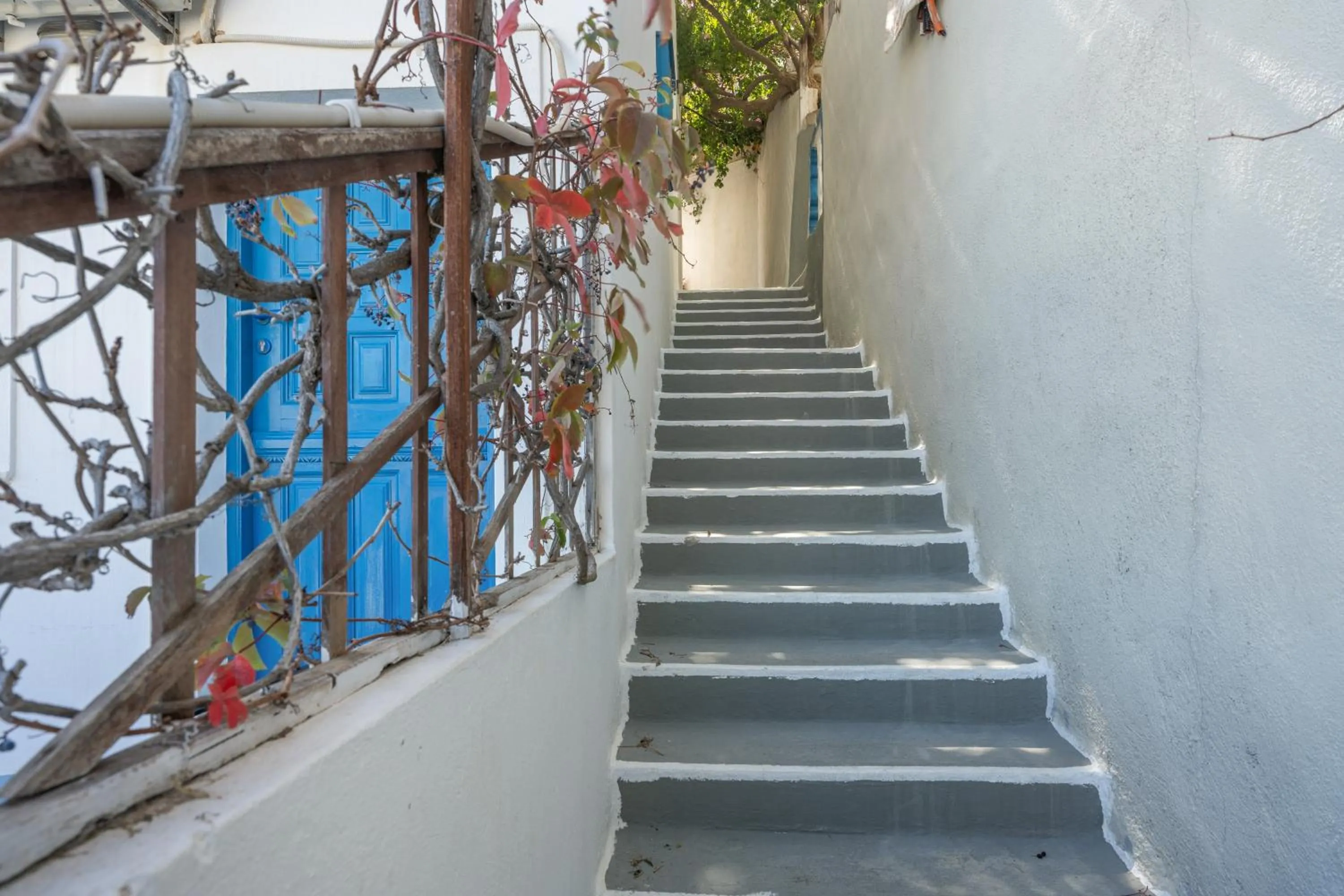 Property building in Hotel Glaros Karpathos