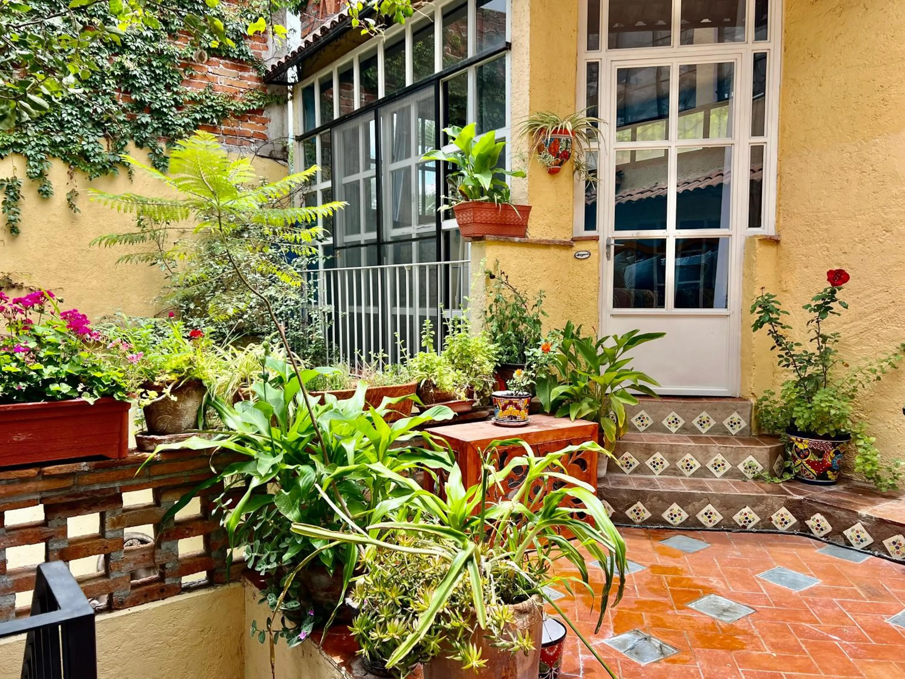 Patio in Casa Contenta