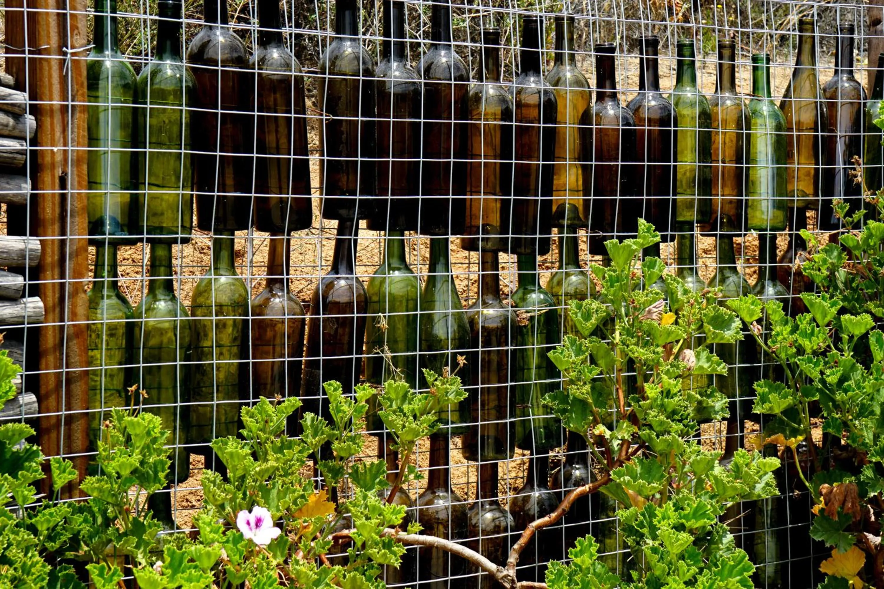 Decorative detail in Posada San Antonio