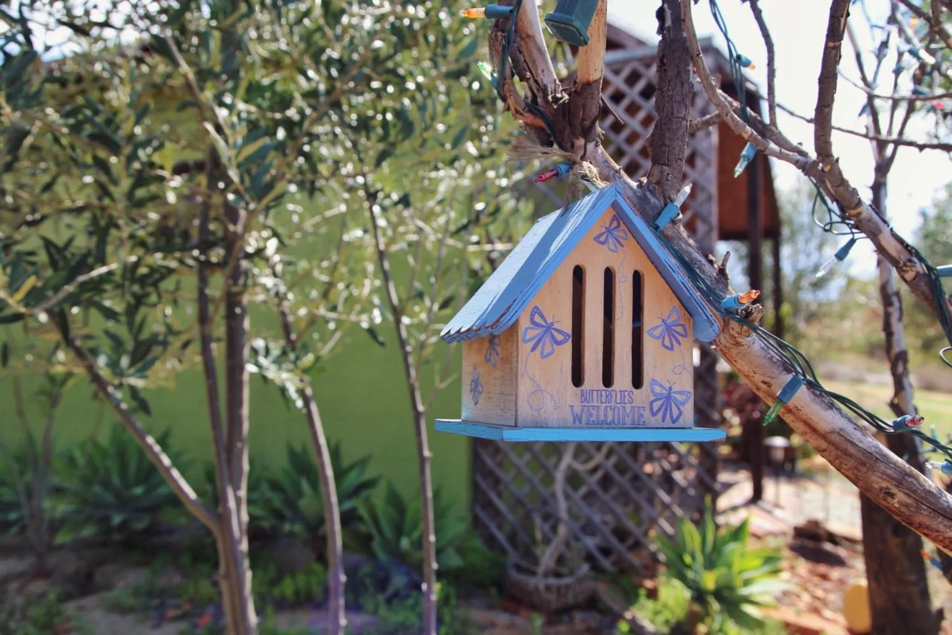 Decorative detail in Posada San Antonio