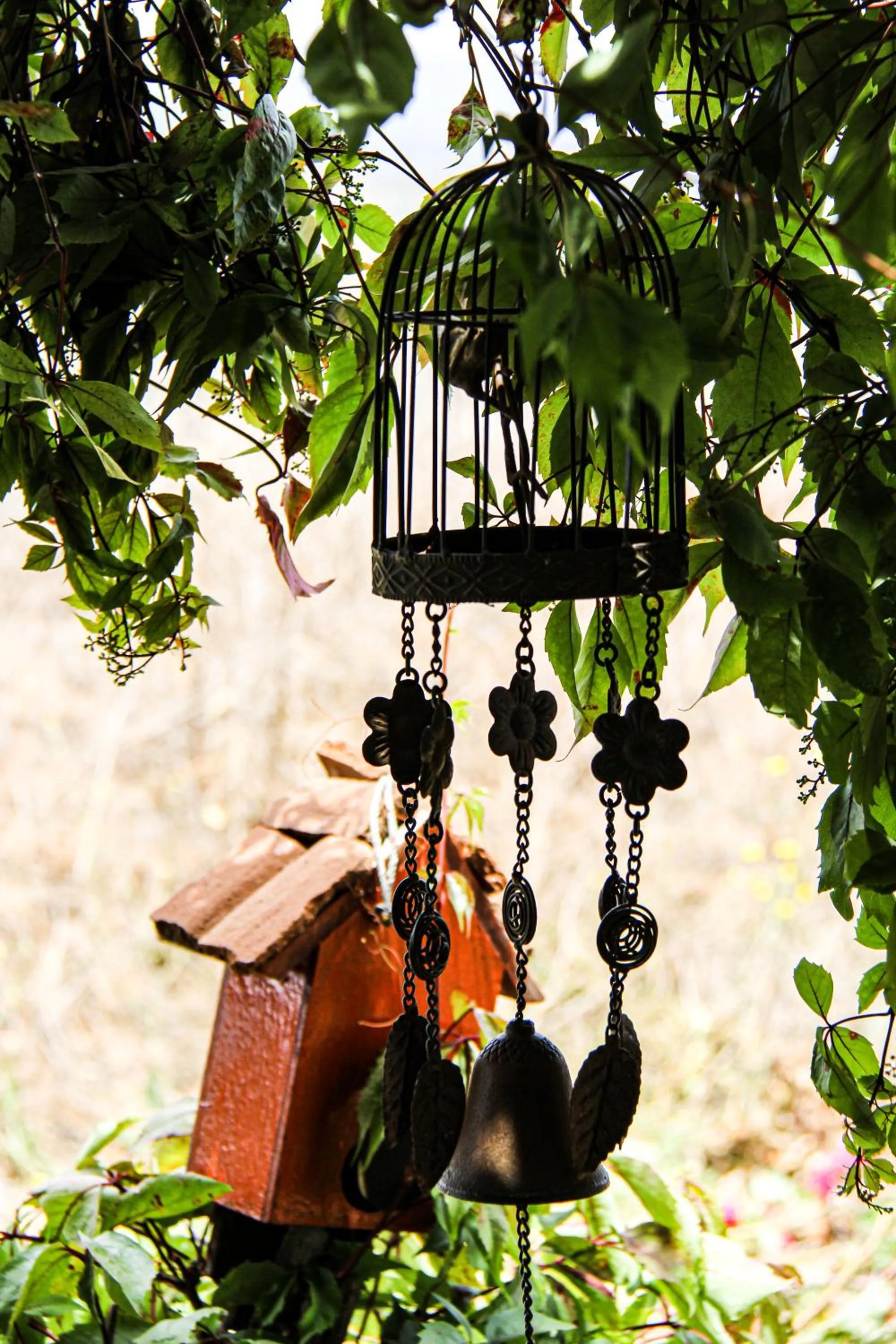 Other in Posada San Antonio