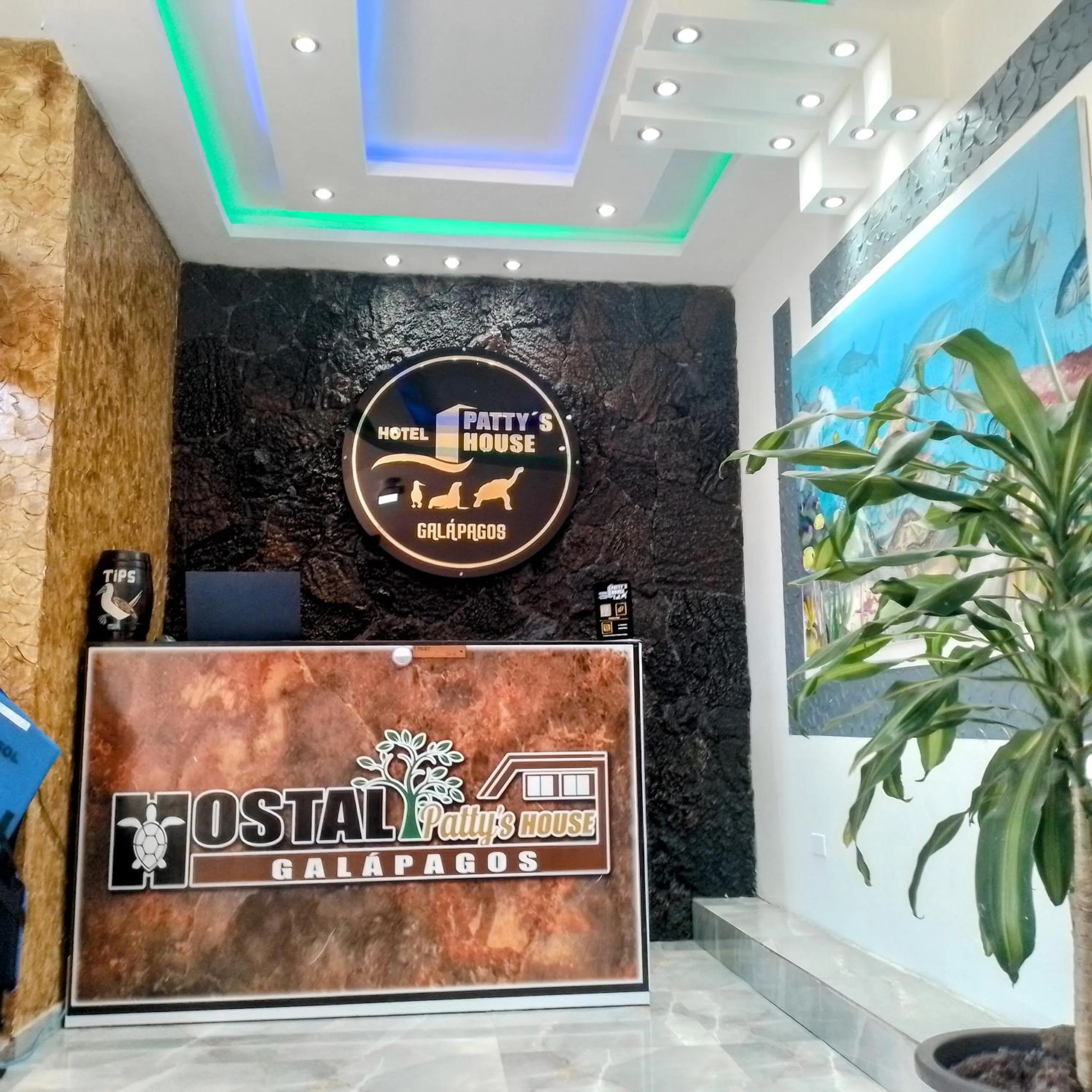 Property building in Patty House Galapagos