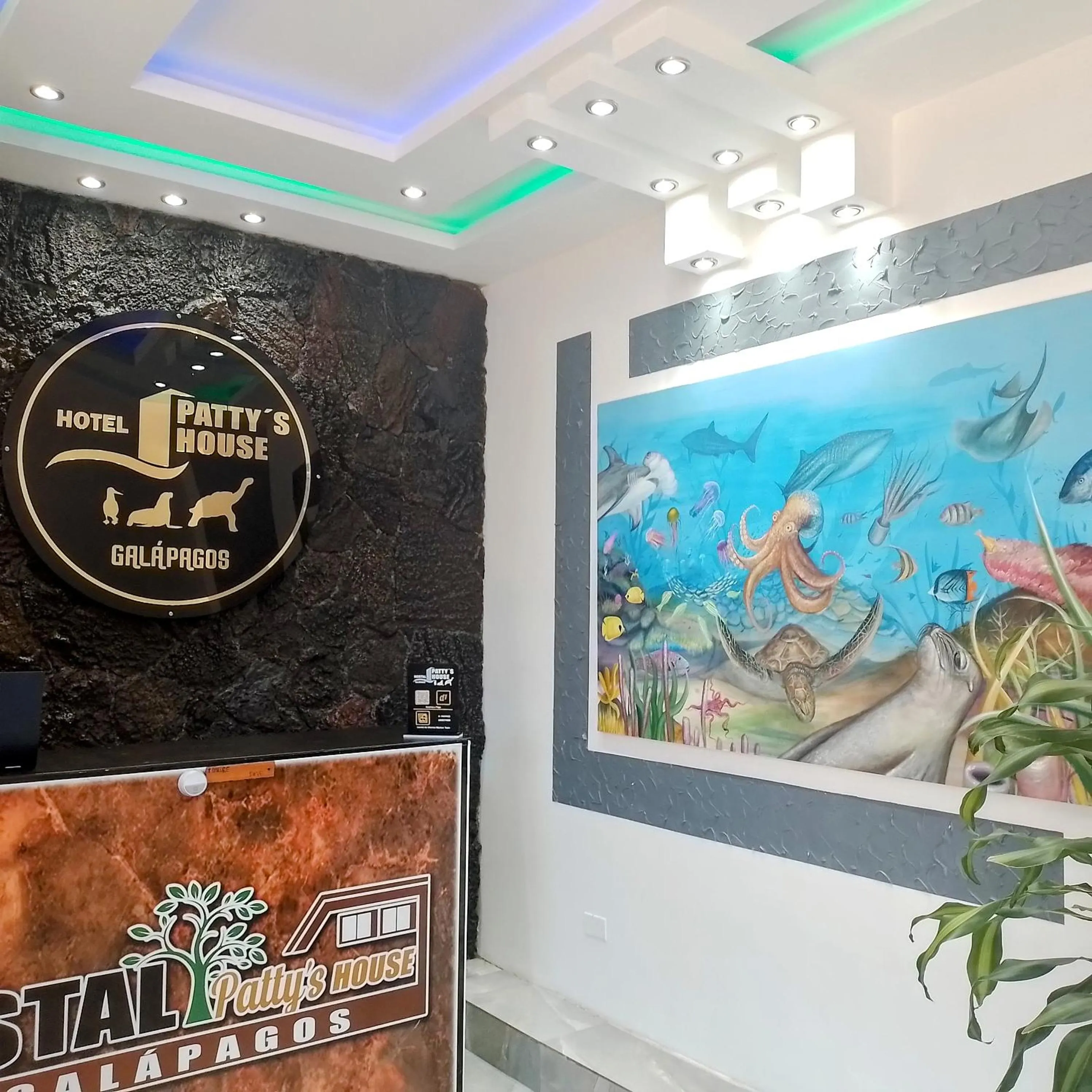 Property building in Patty House Galapagos