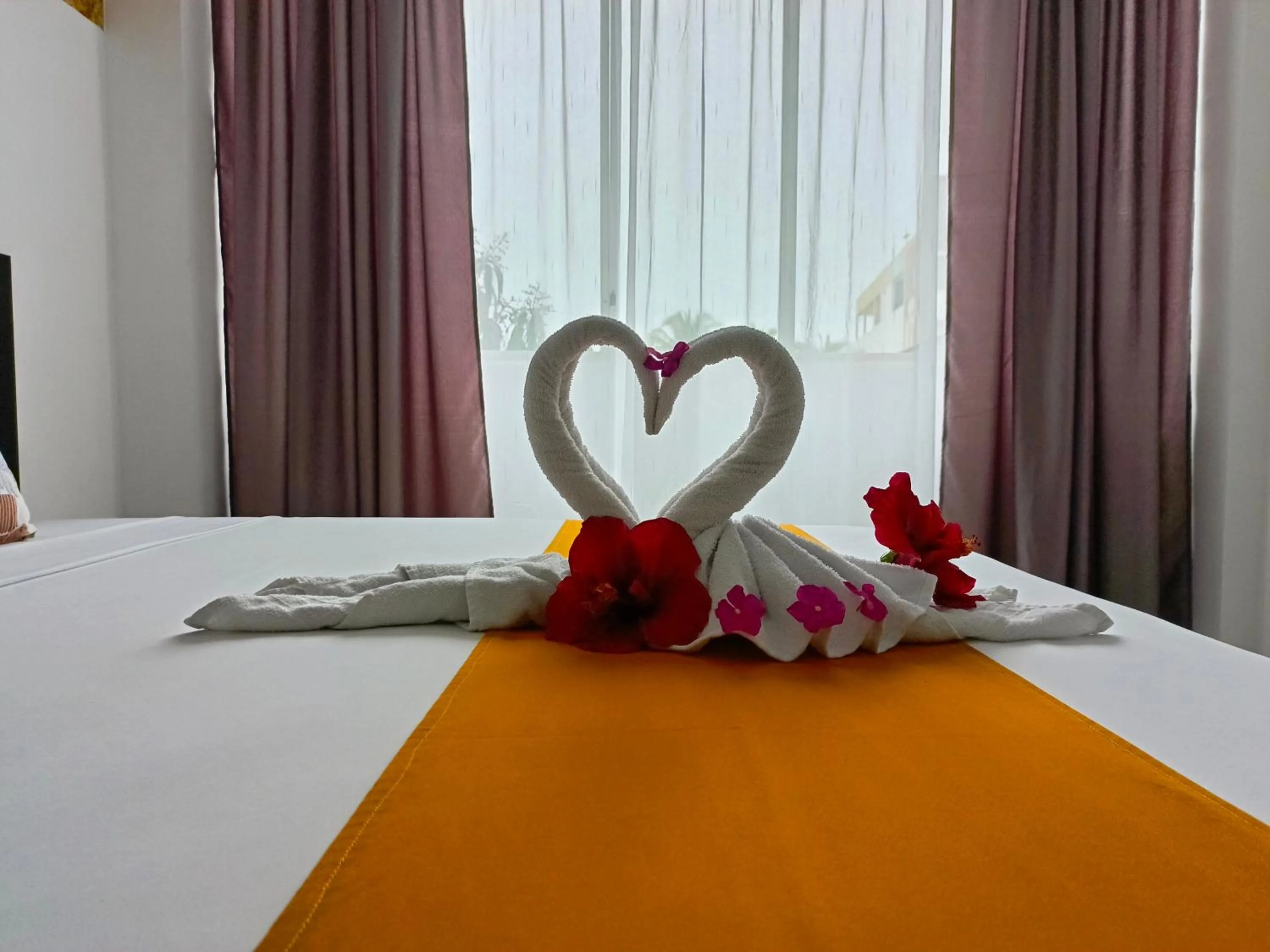 Bed in Patty House Galapagos