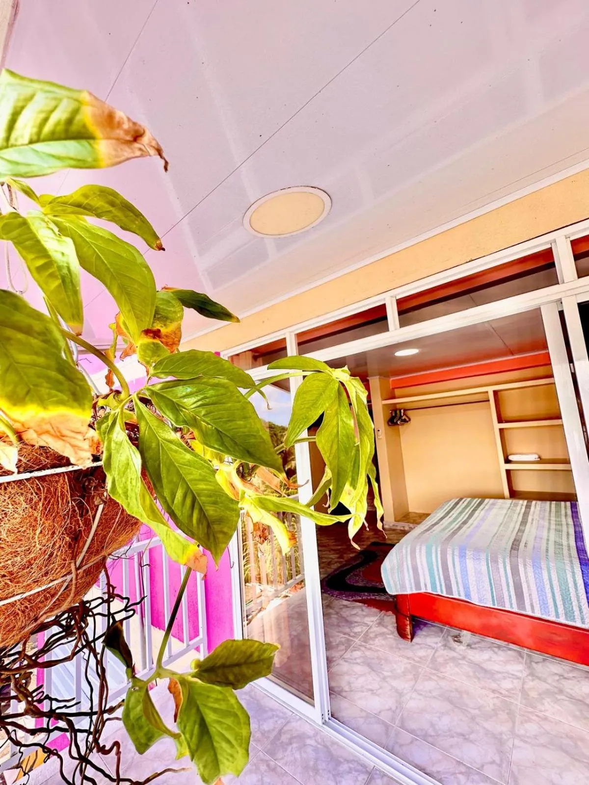 Balcony/Terrace, Bed in Posada Seven Colours Ocean