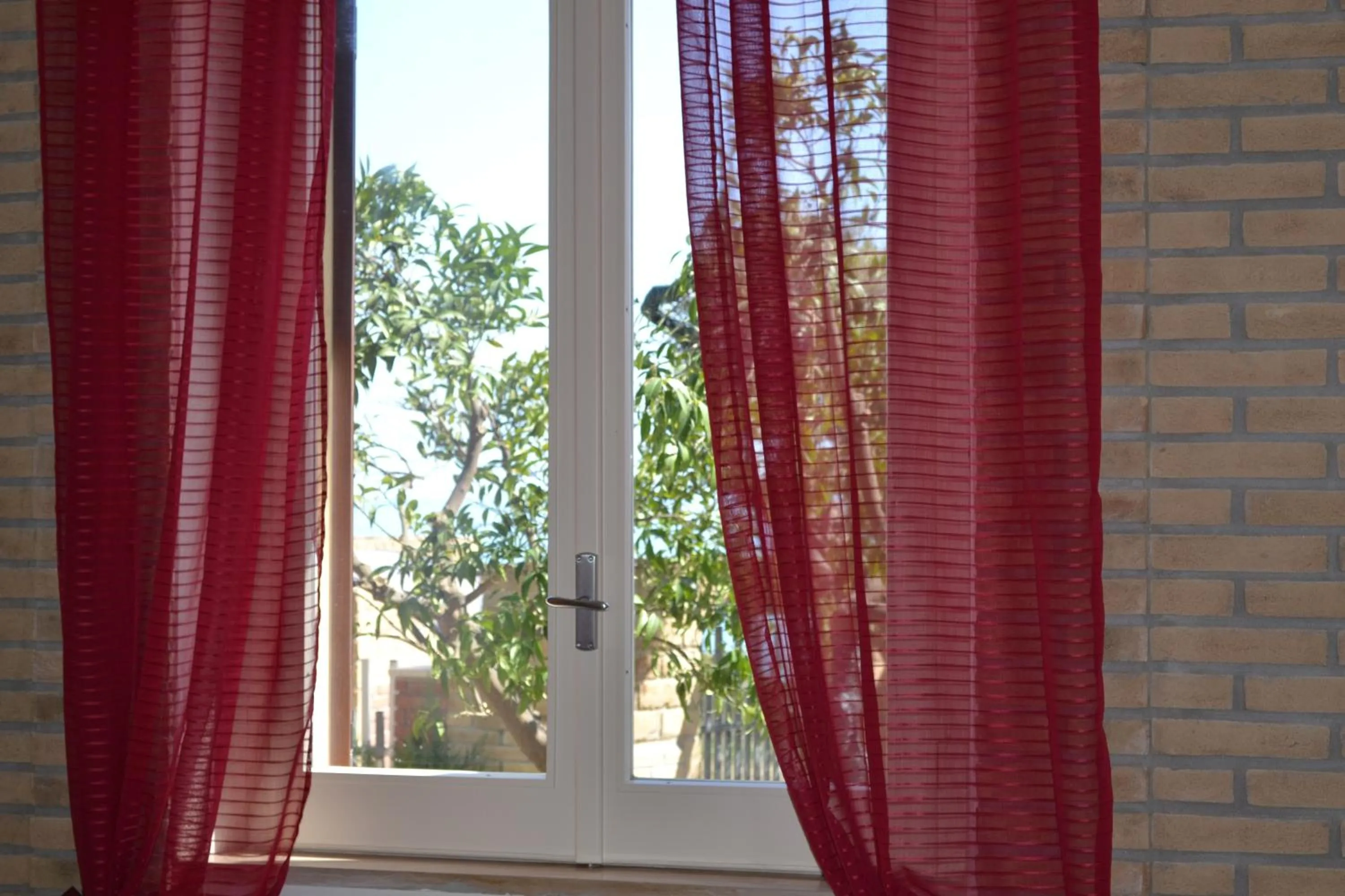 Garden view in B&B Colle Acquabella