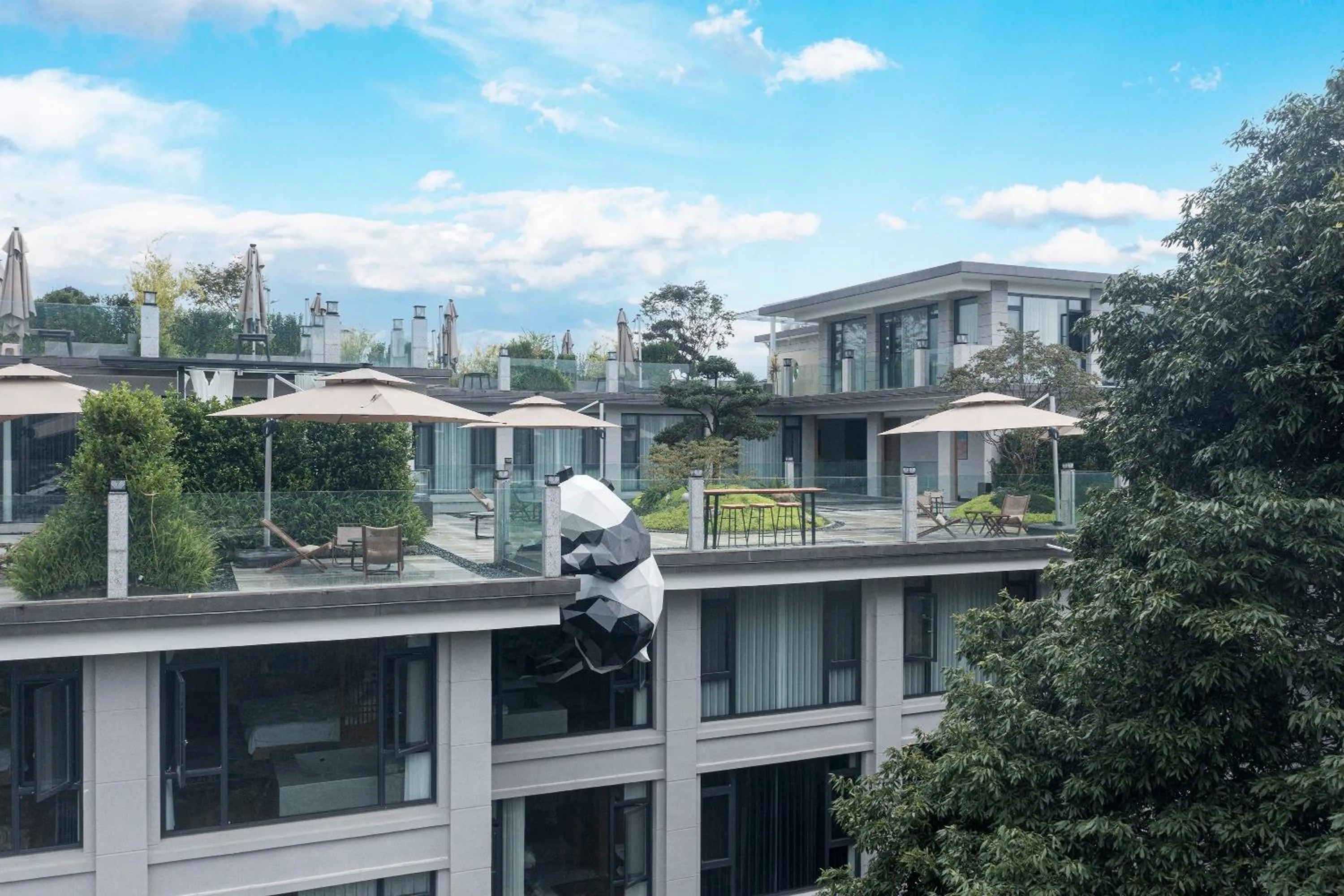 Garden in Z HOTEL- Qingchengshan