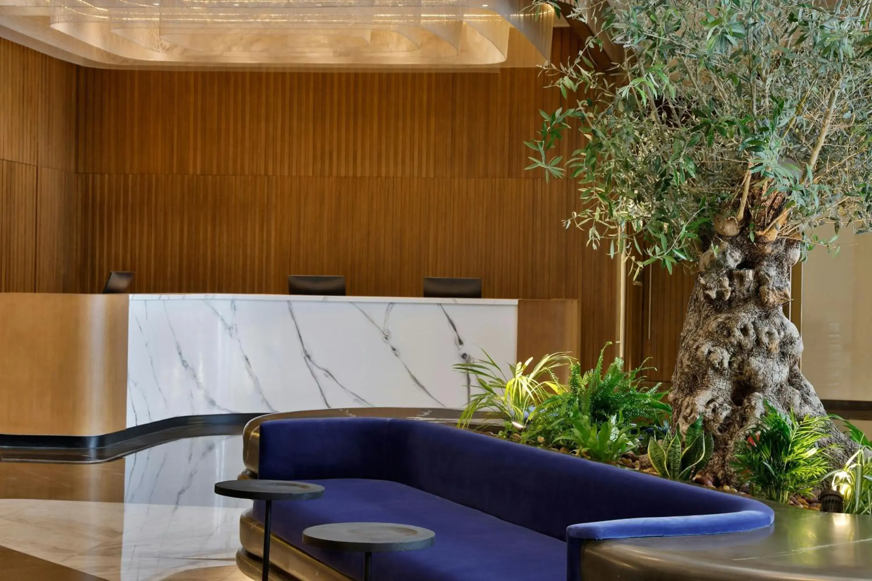 Lobby or reception in Hotel Local Dubai, Jumeirah Village Triangle, Autograph Collection Lobby or reception in Hotel Local Dubai, Jumeirah Village Triangle, Autograph Collection