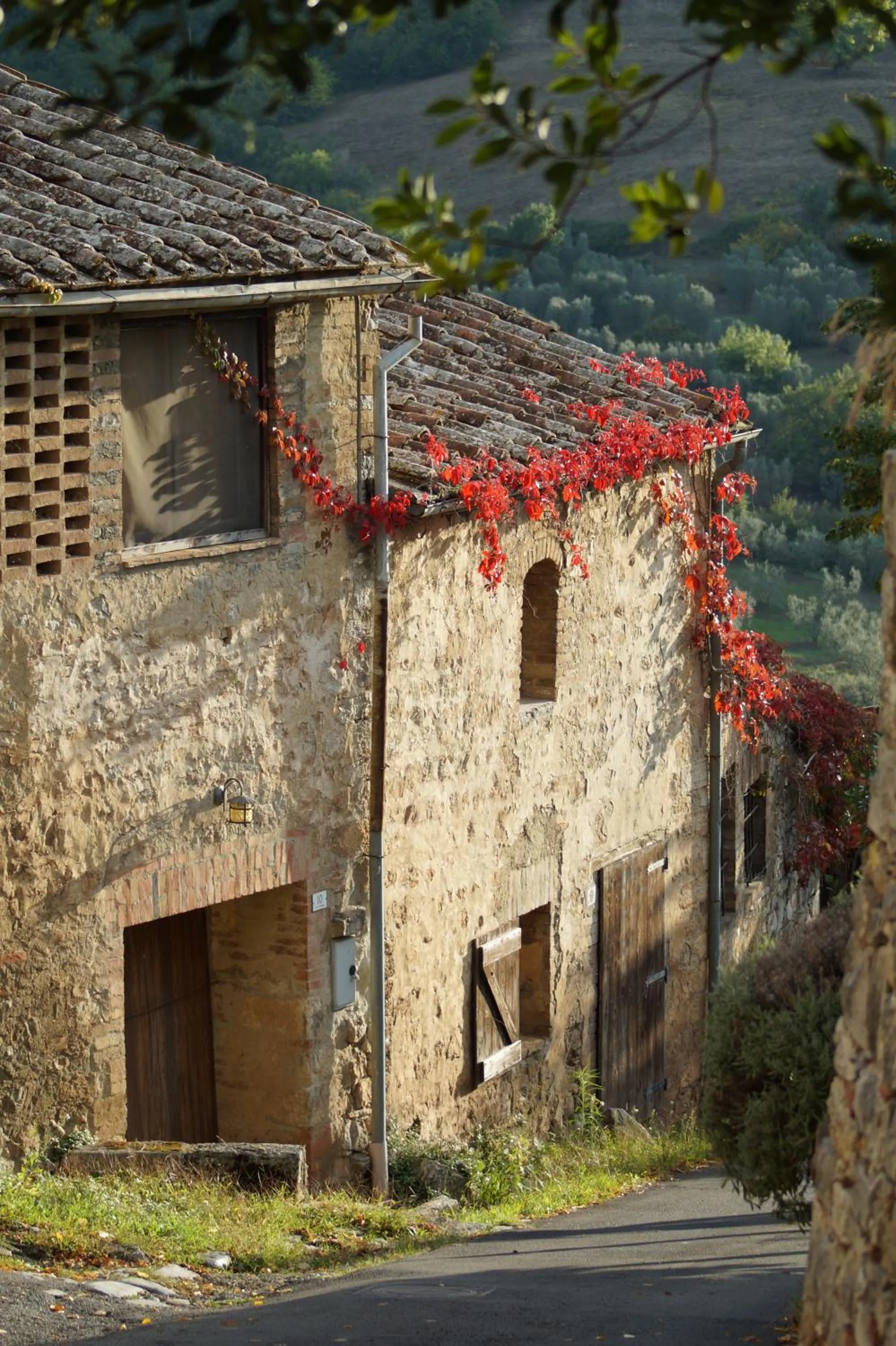 Autumn in La Mandola