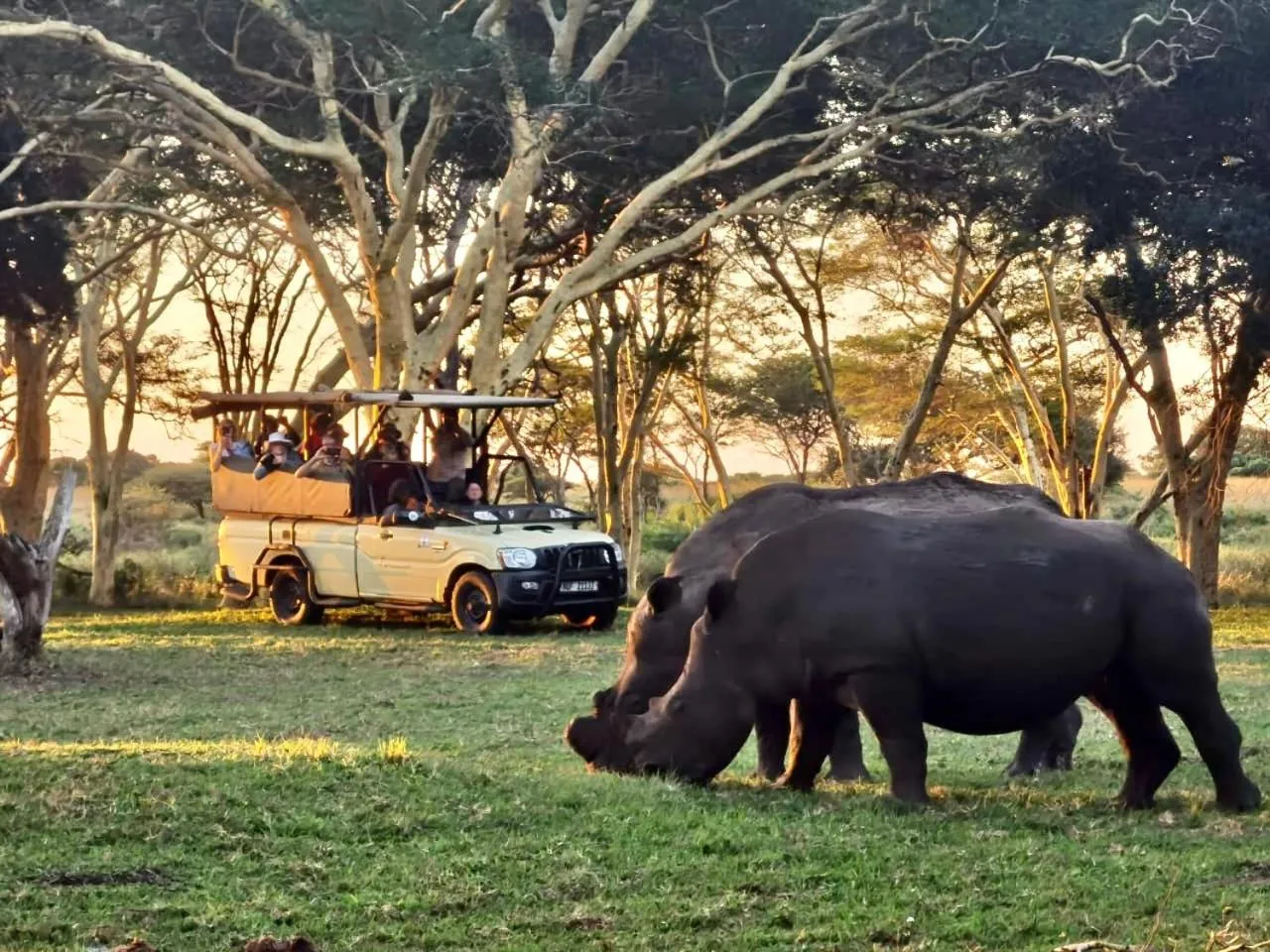 AfriCamps at Bonamanzi Game Reserve