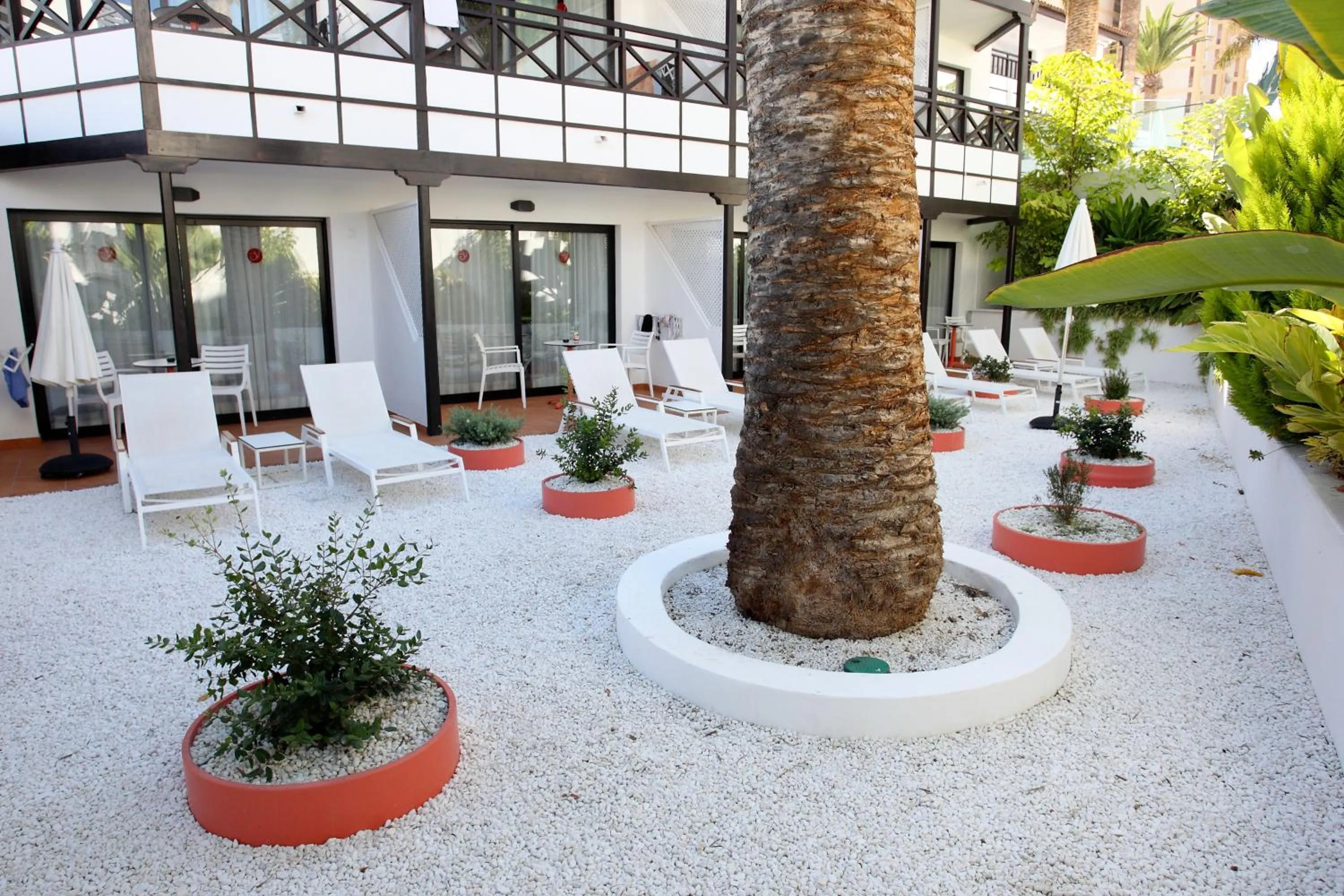 Garden in Vanilla Garden Boutique Hotel - Adults Only