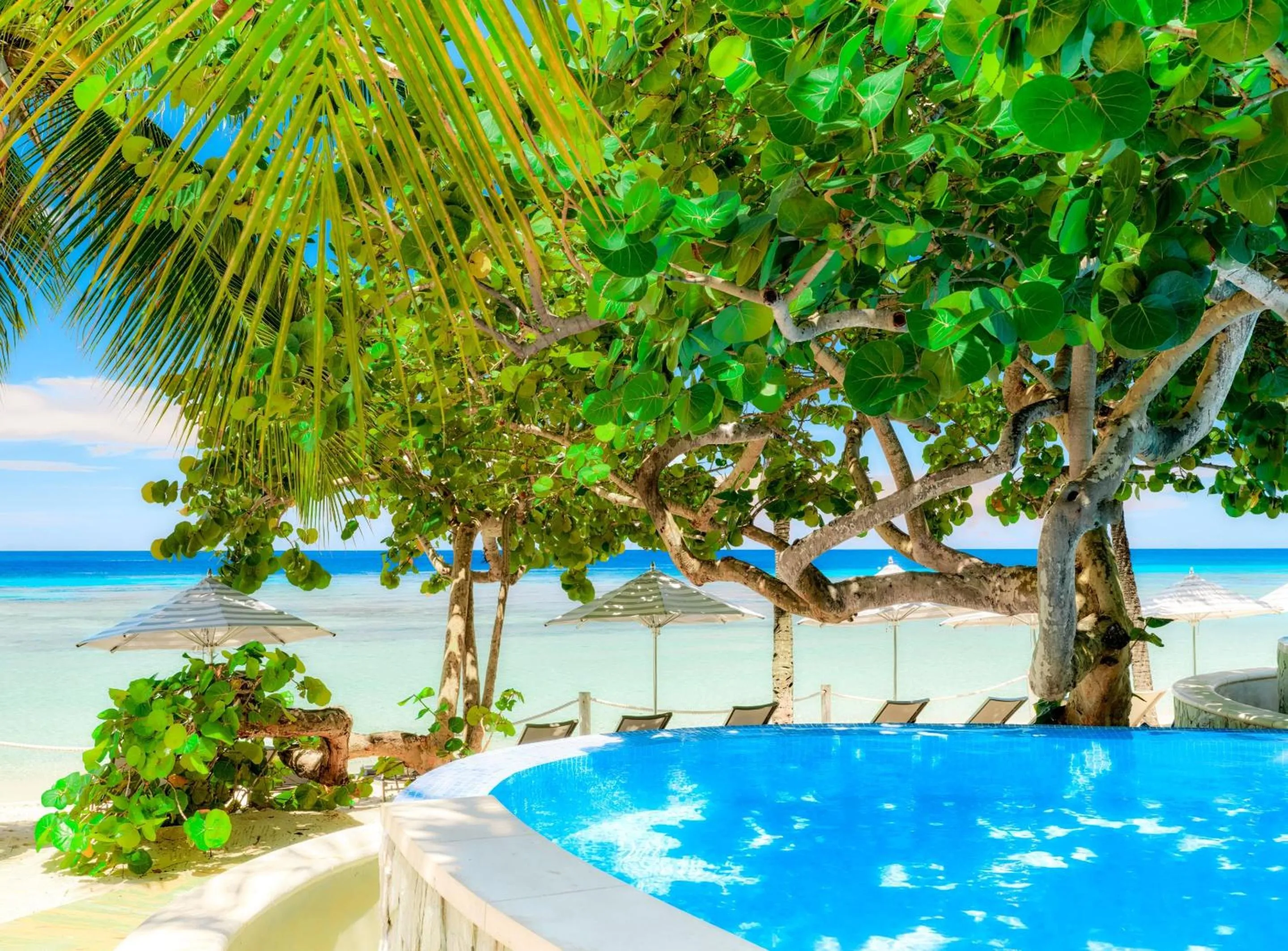 Swimming pool in Kimpton - Grand Roatan Resort and Spa