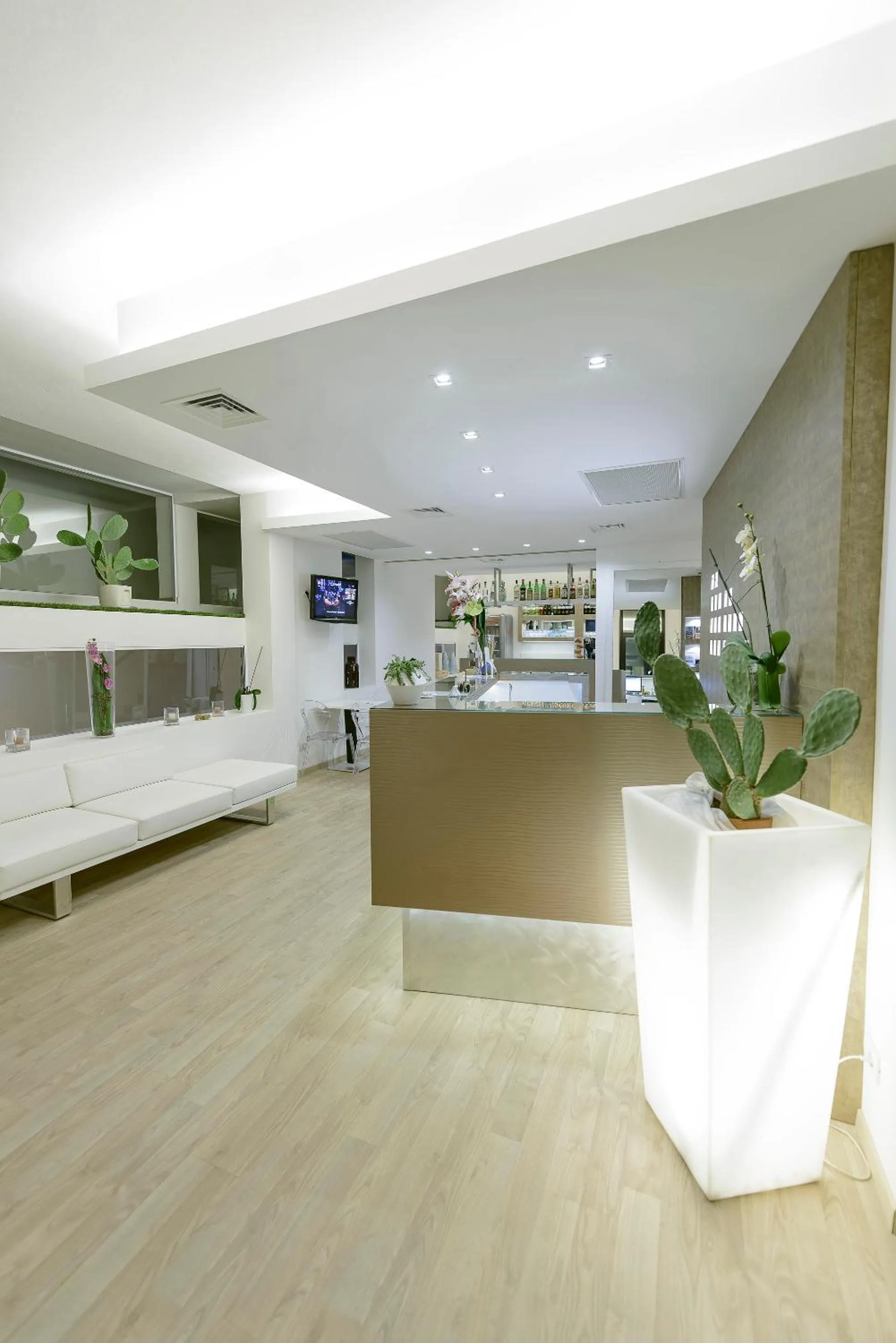 Lobby or reception in Hotel Villa Katy