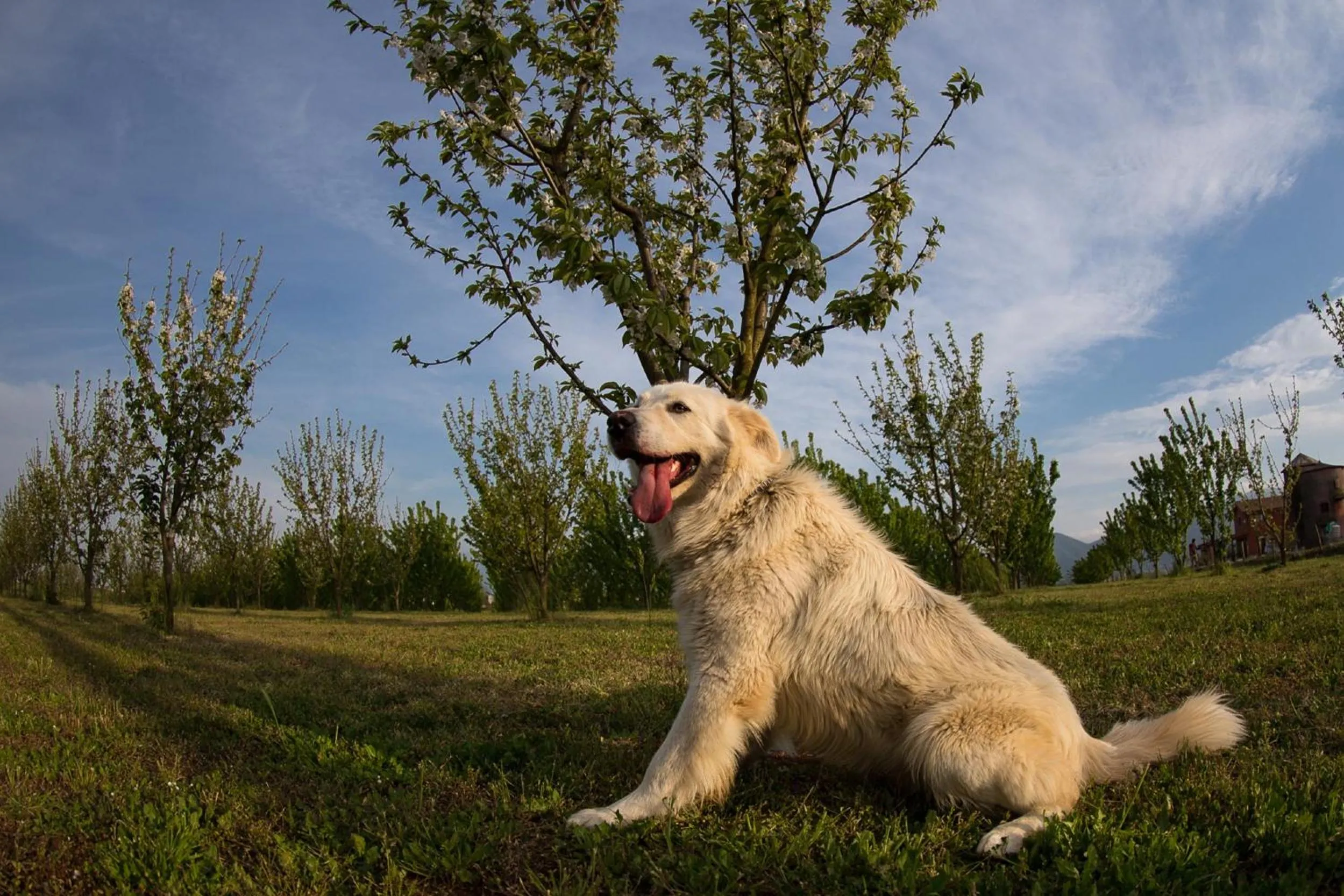 Day in Tenuta Terre dei Latini