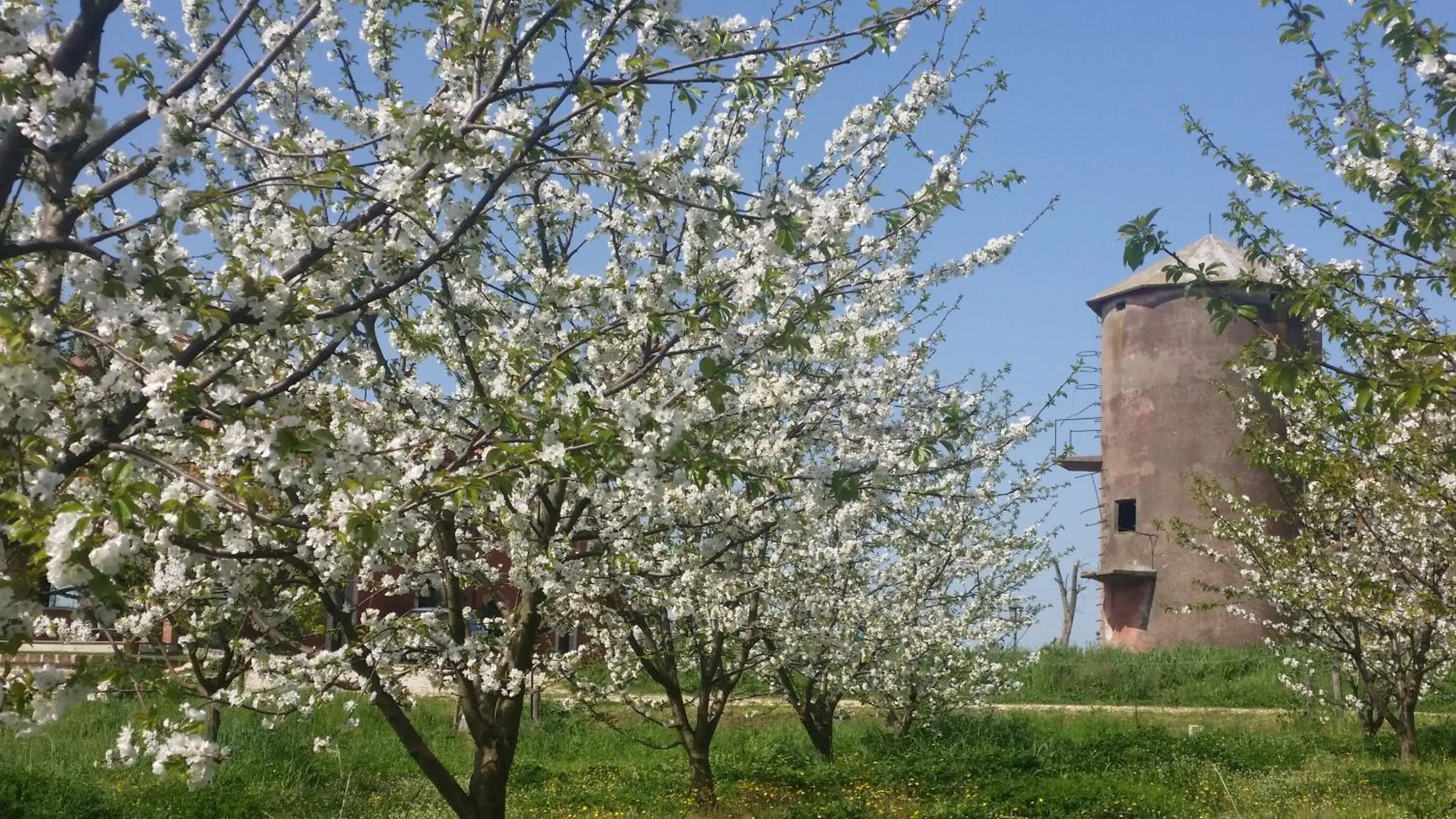 Day in Tenuta Terre dei Latini