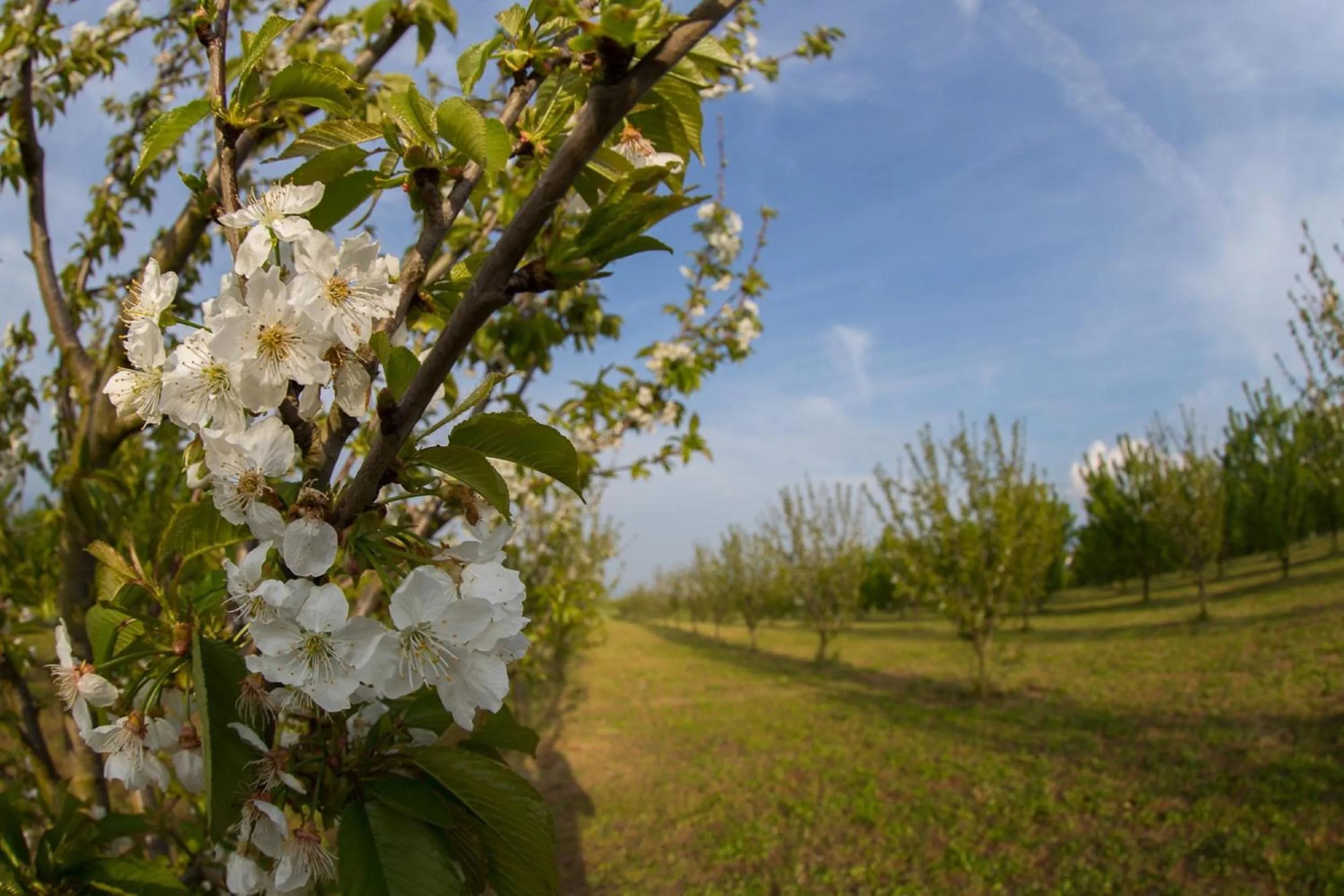 Day in Tenuta Terre dei Latini