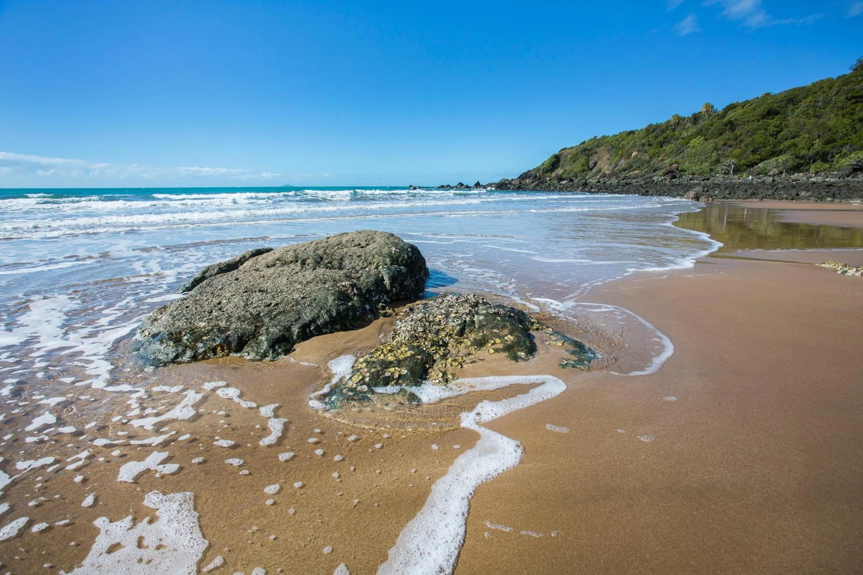 Natural landscape in Sarina Beach Motel