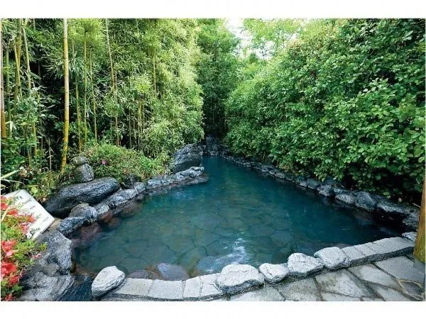 Hot Spring Bath in Ukiha