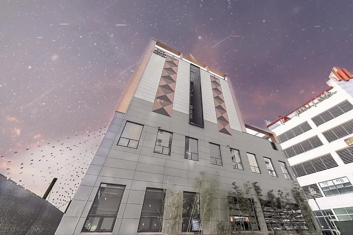 The Healing hotel