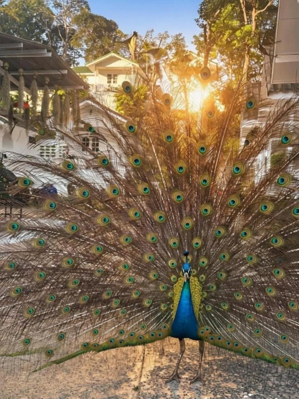 Private Paradise Resort