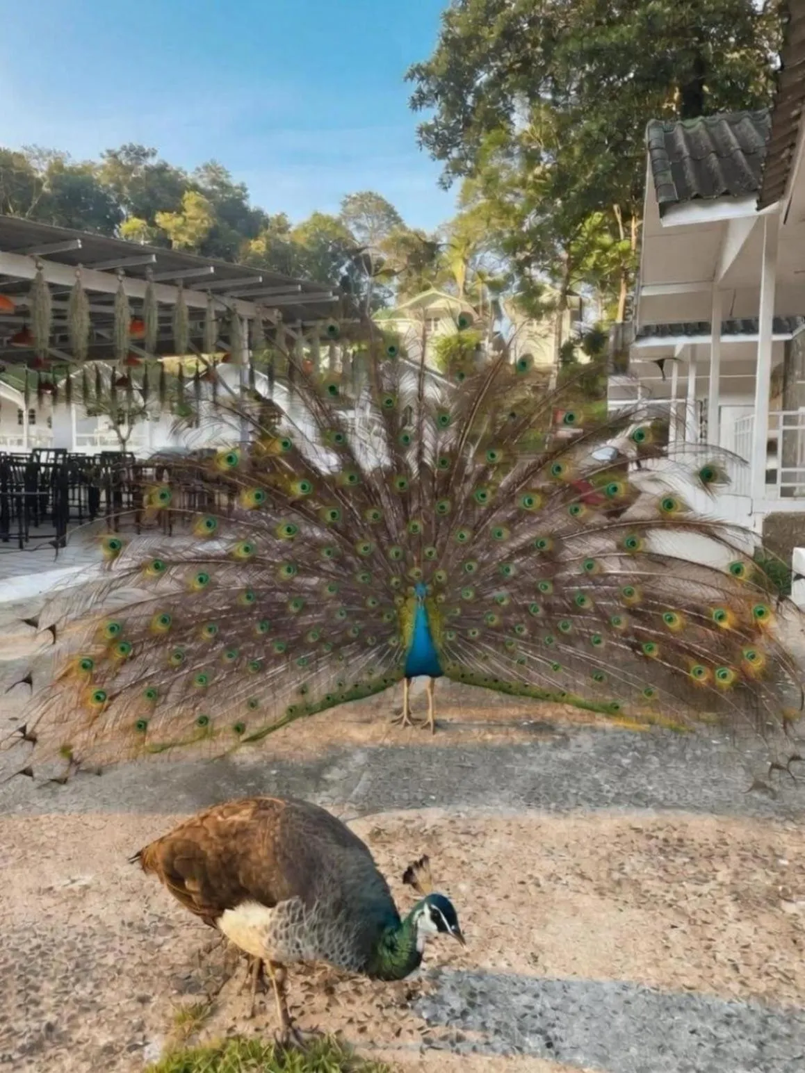 Private Paradise Resort