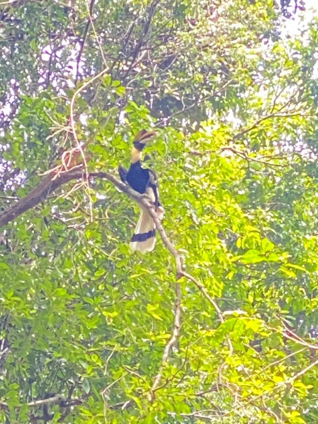 Natural landscape in Private Paradise Resort