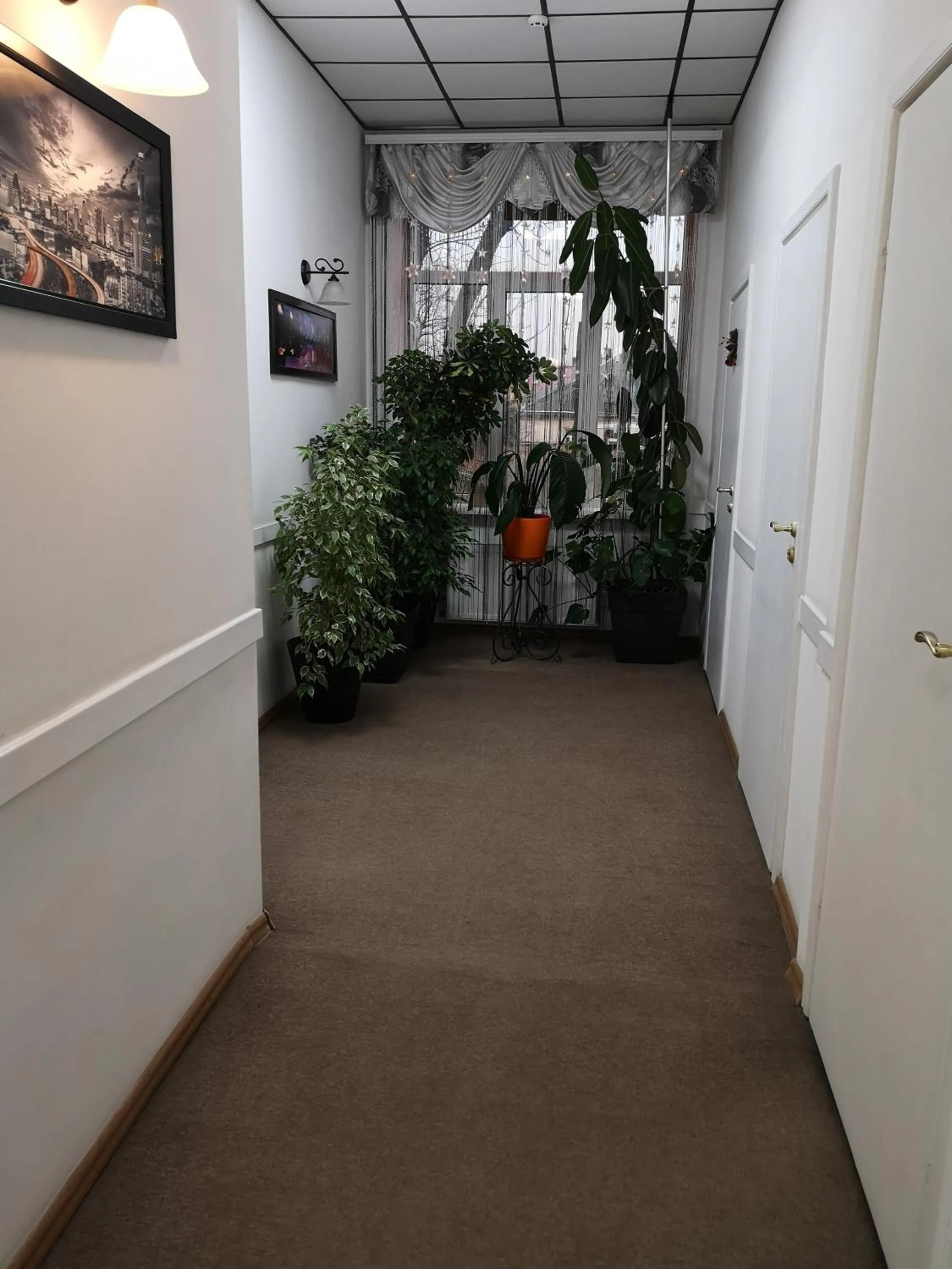 Other in Orange Hotel