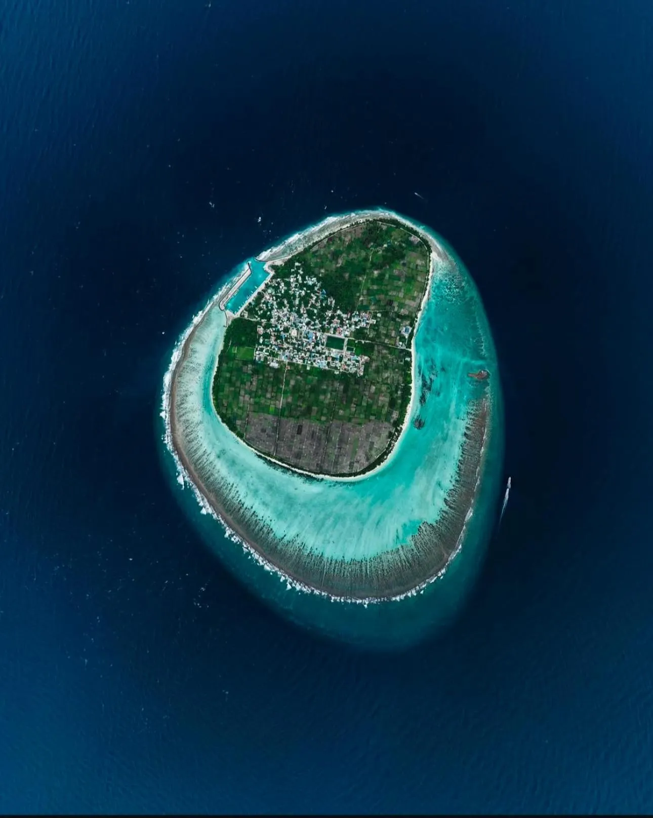 Ambra Maldives