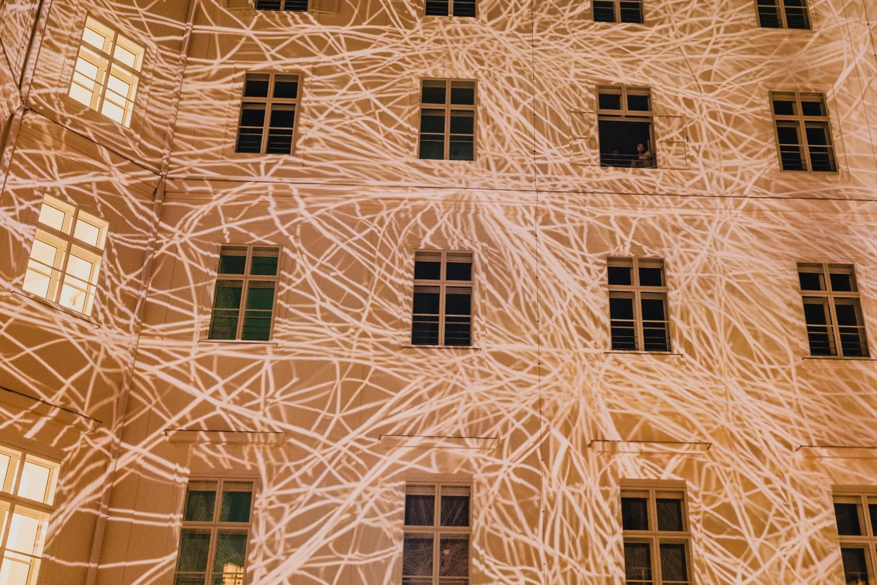 Night in Wilde Vienna Fleischmarkt