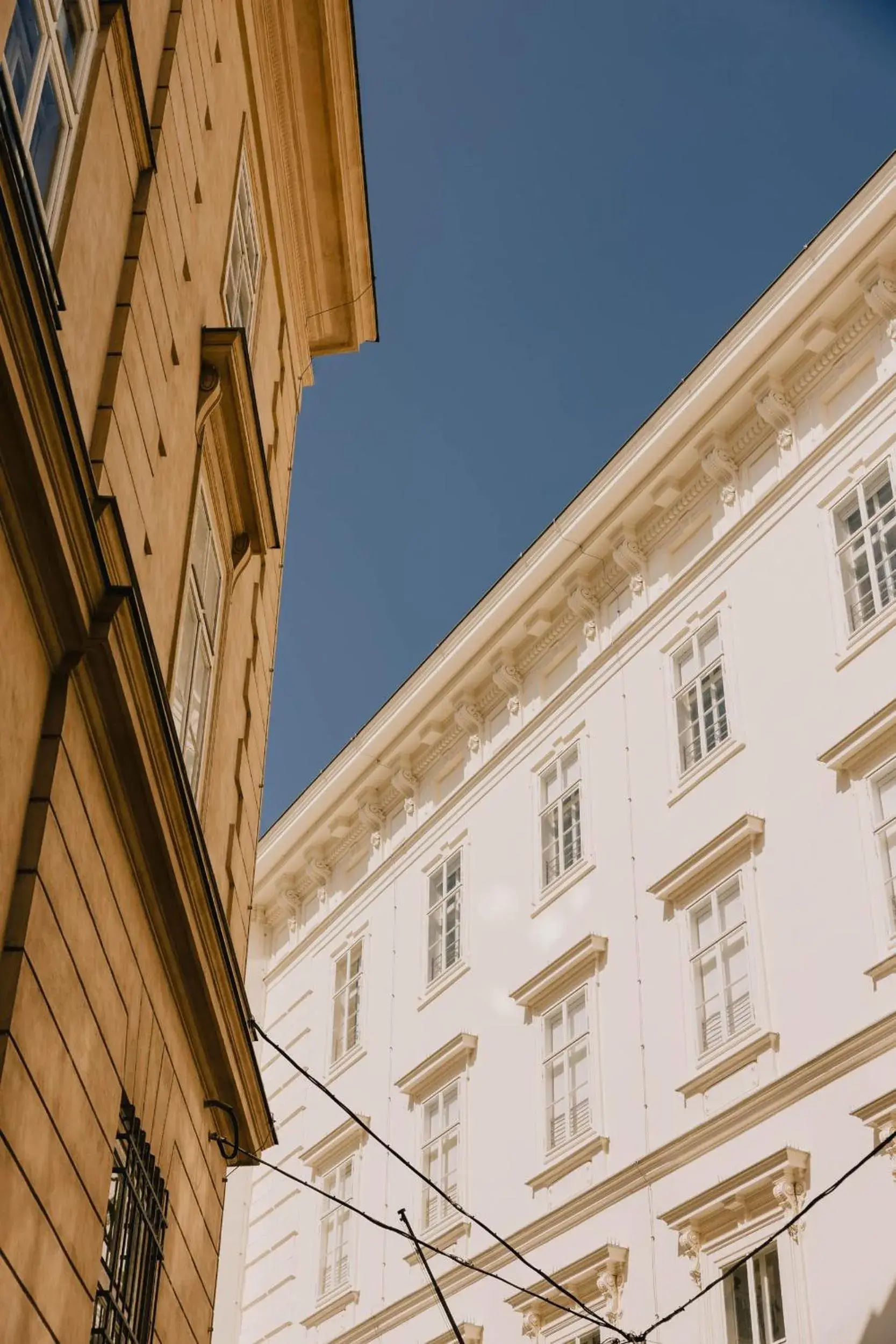 Property building in Wilde Vienna Fleischmarkt Property building in Wilde Vienna Fleischmarkt