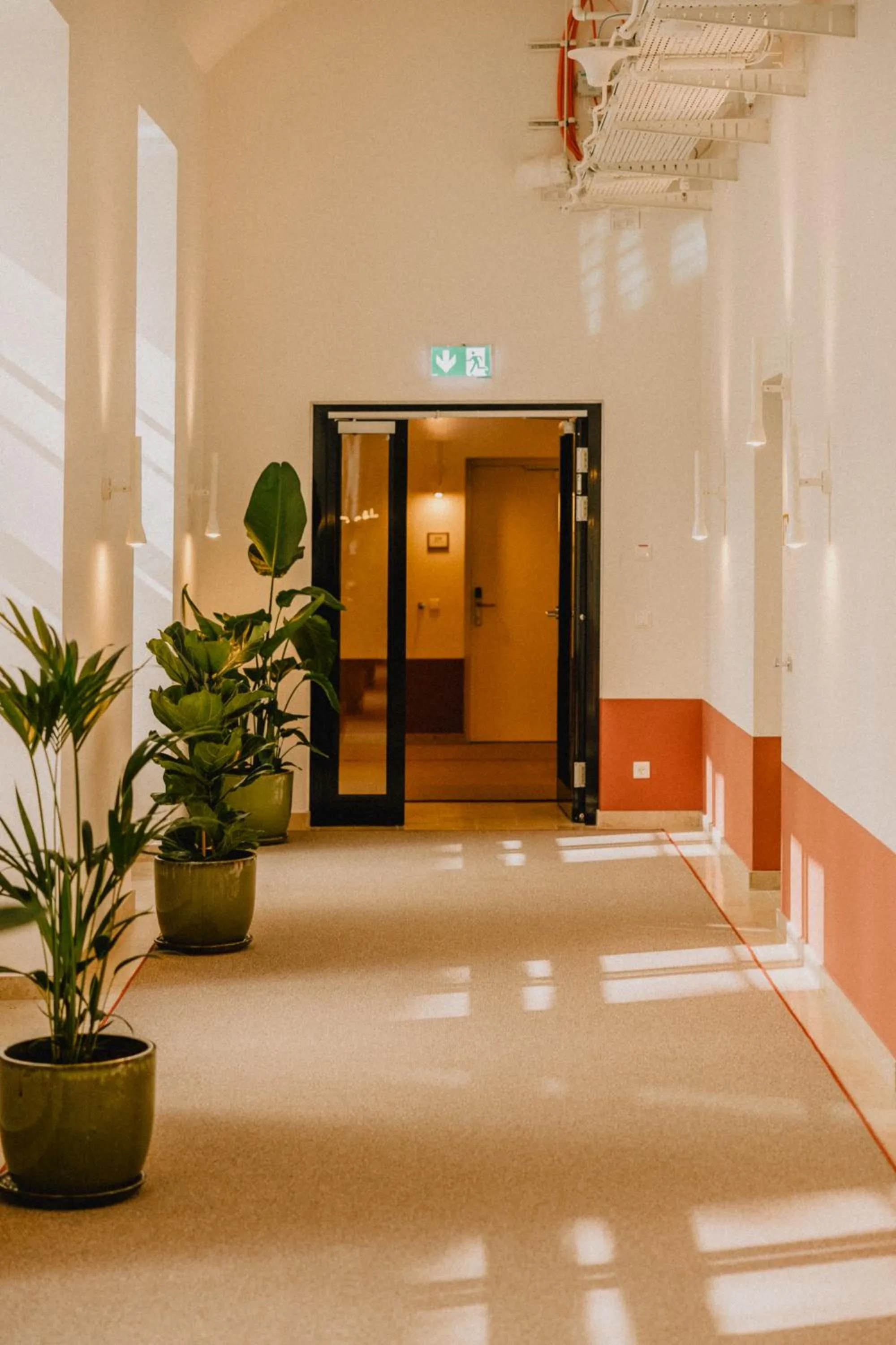 Property building in Wilde Vienna Fleischmarkt