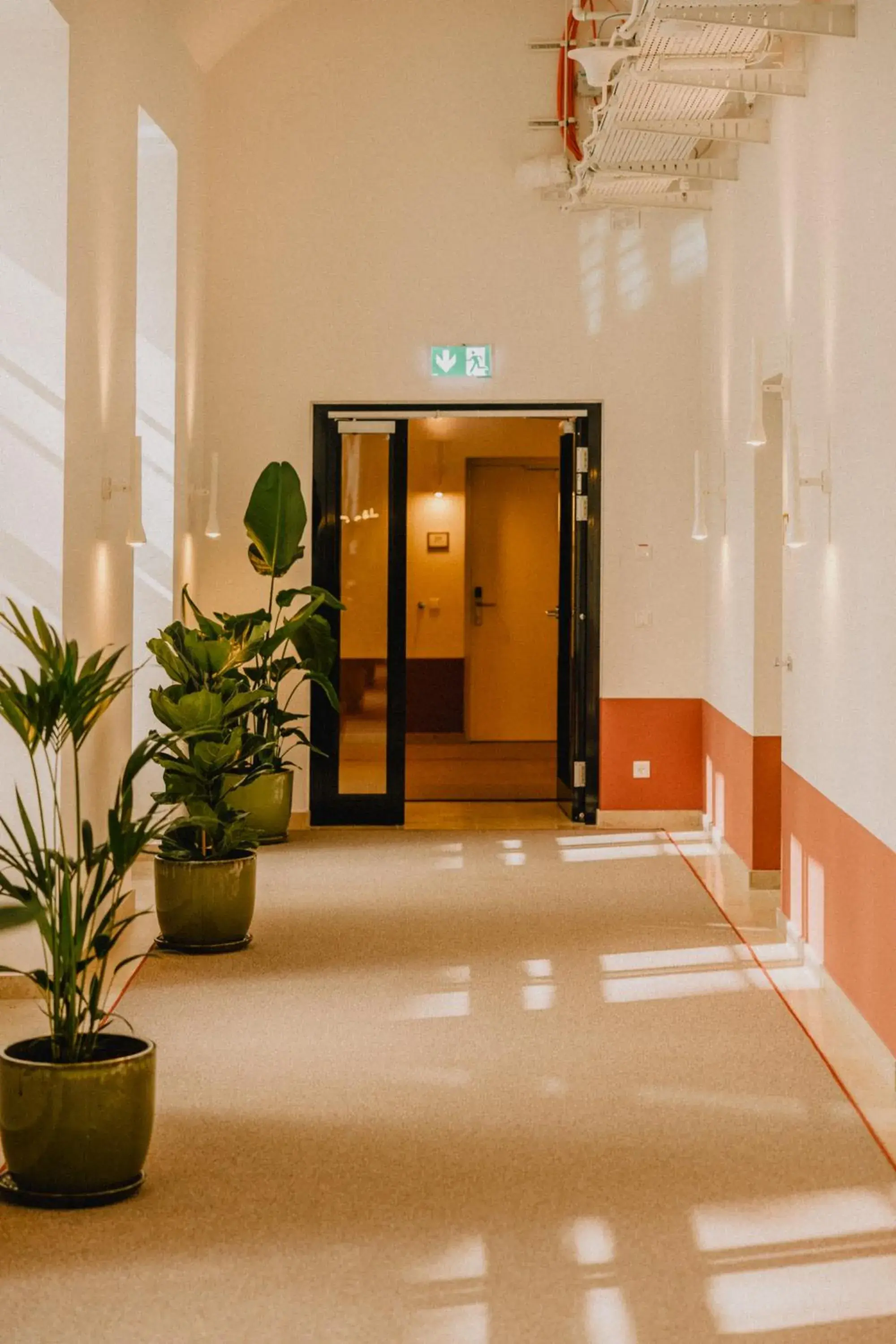 Property building in Wilde Vienna Fleischmarkt Property building in Wilde Vienna Fleischmarkt