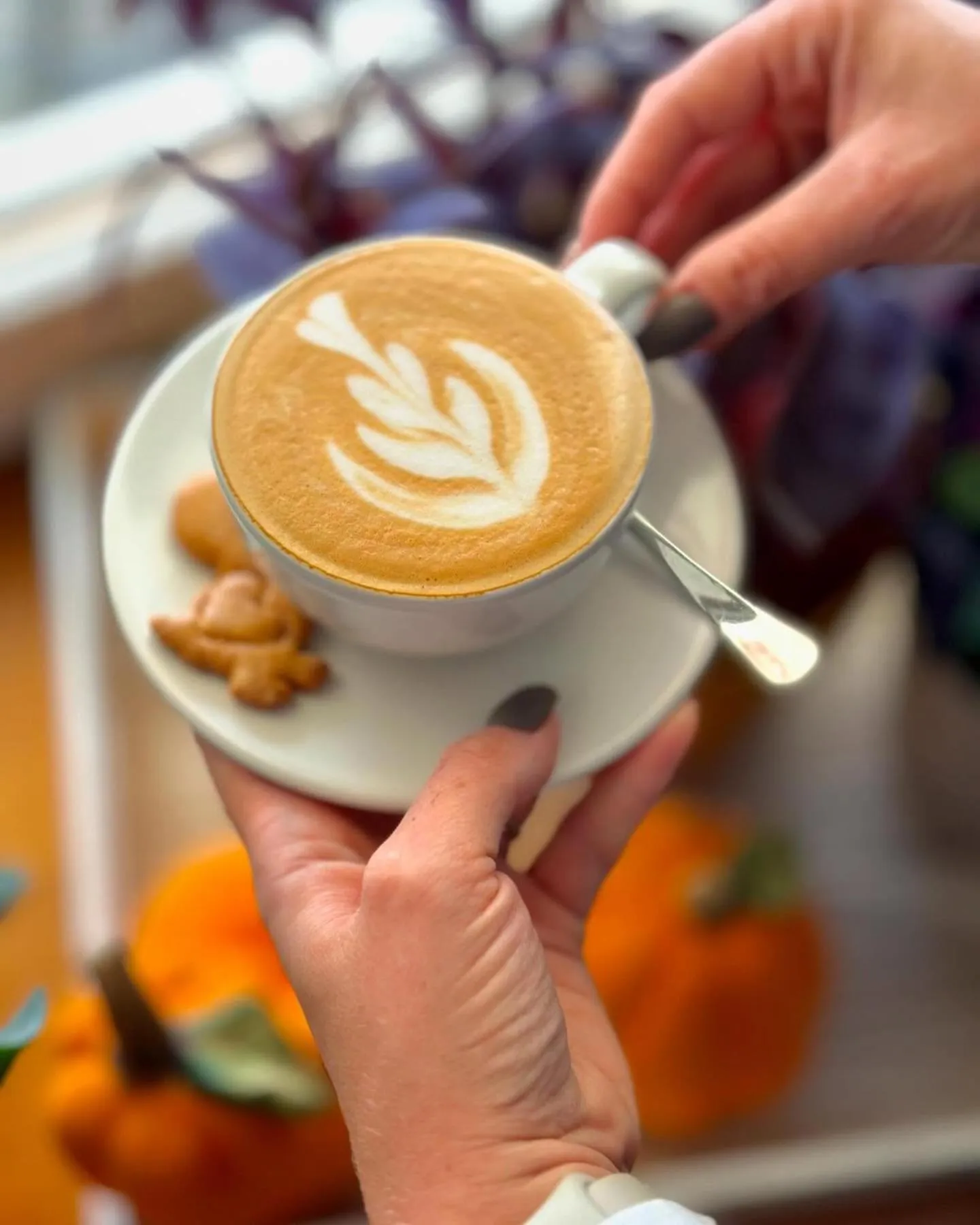 Penzion Tlustá kachna