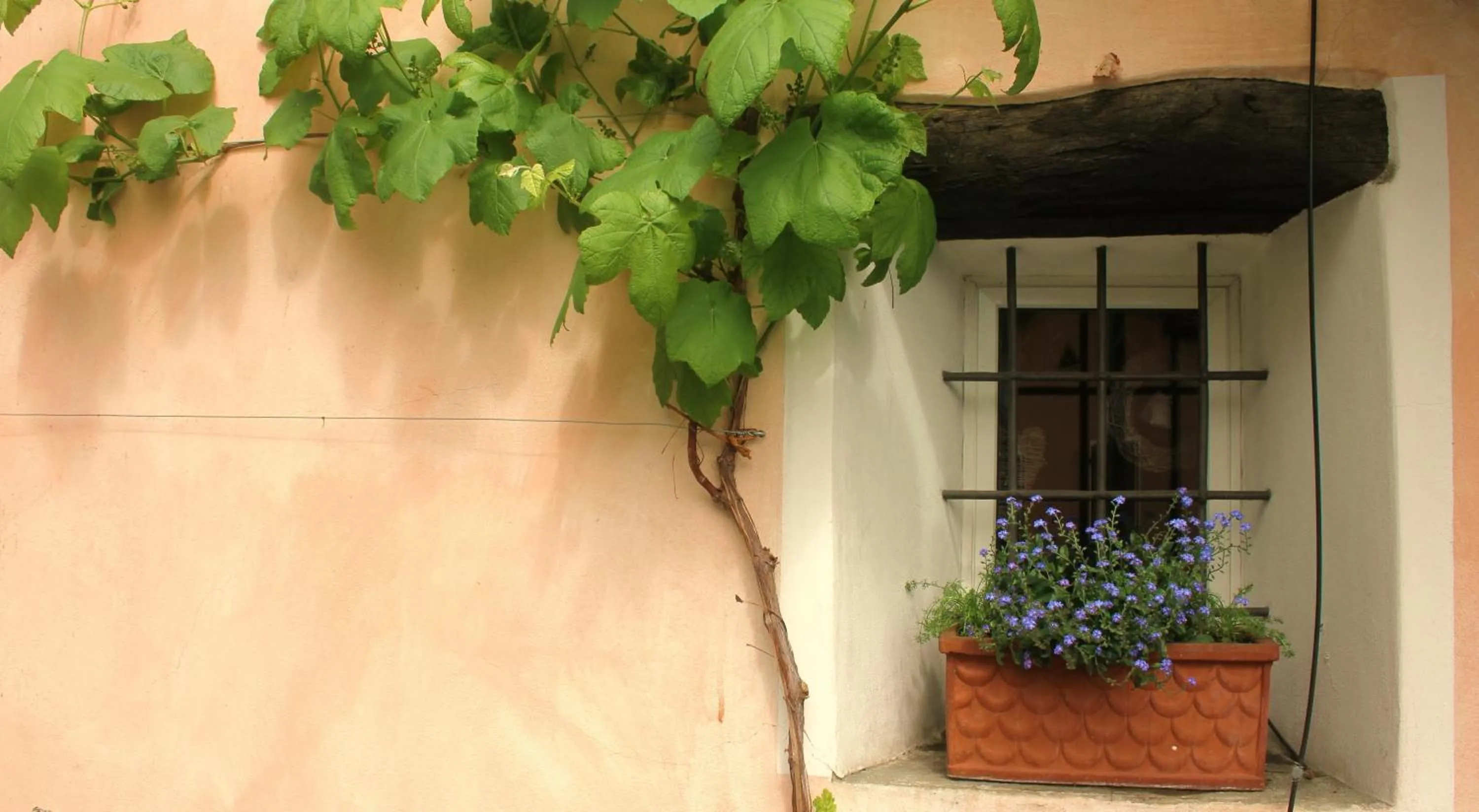Facade/entrance in Casa don Bosco