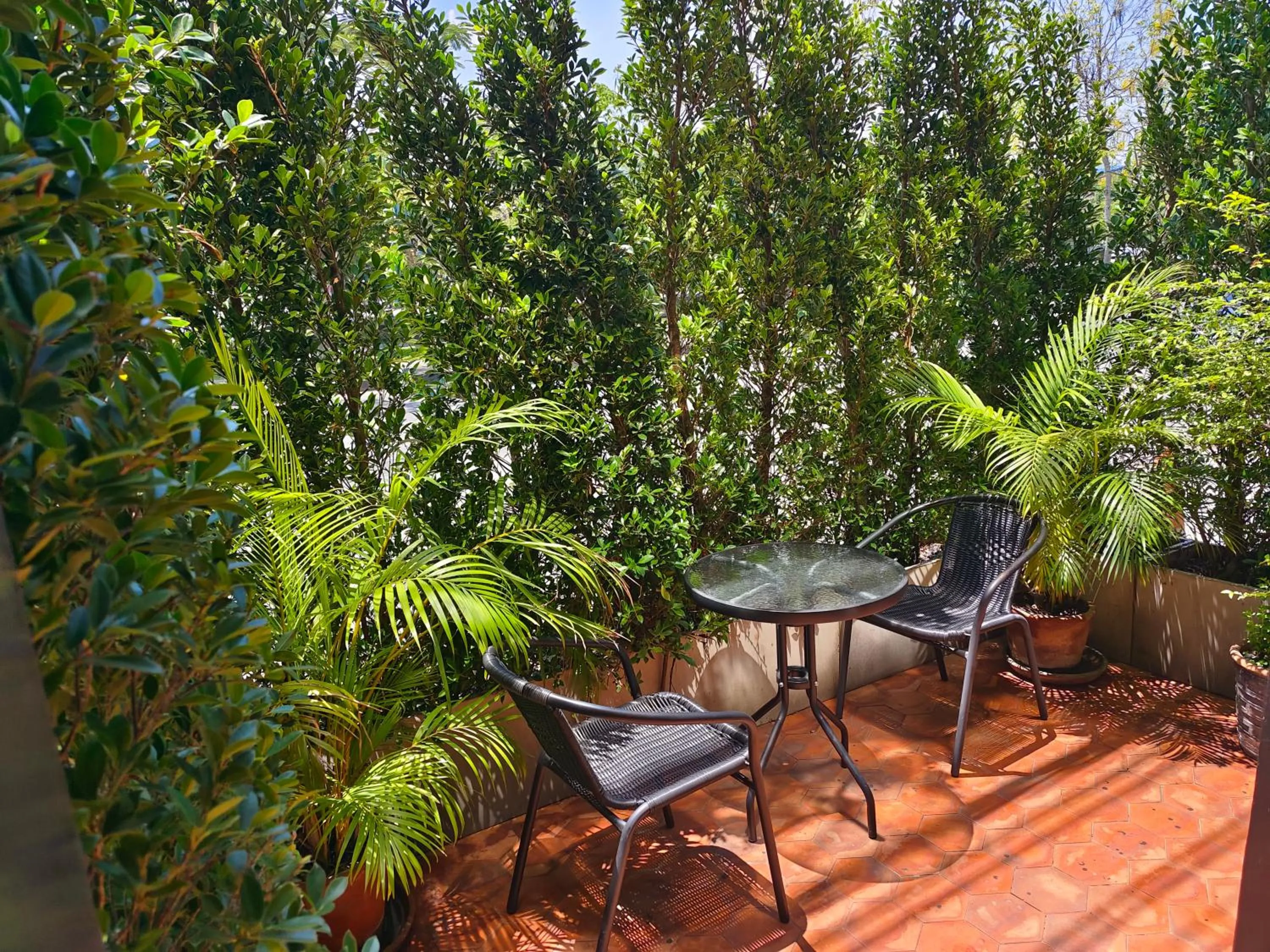 Garden in The Guest Arak Boutique Hotel