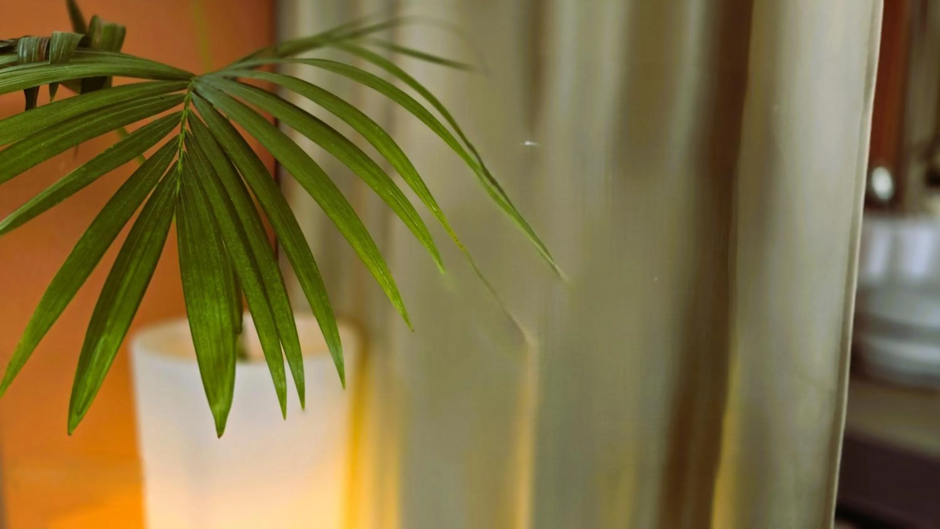 Property building in Relais Villa Olivi