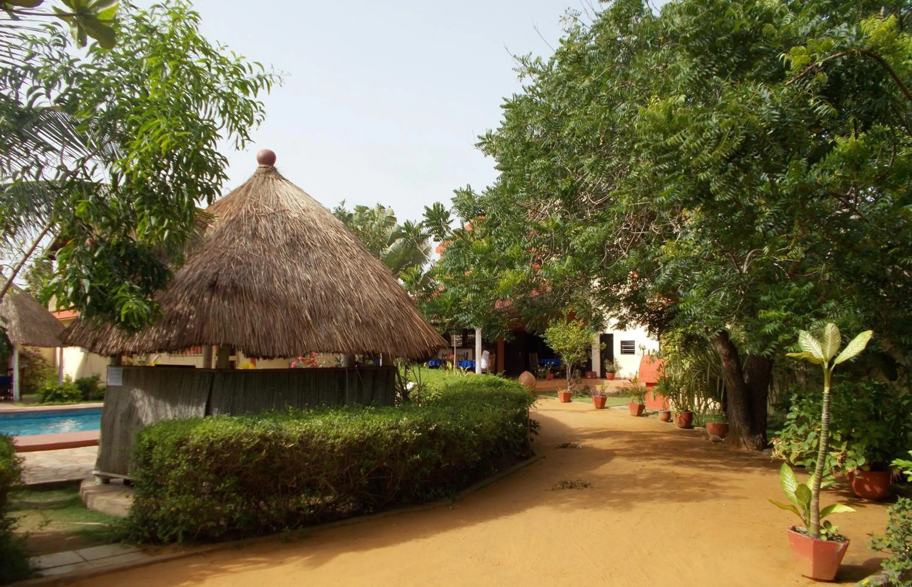 Garden in Hôtel Alizé Plage