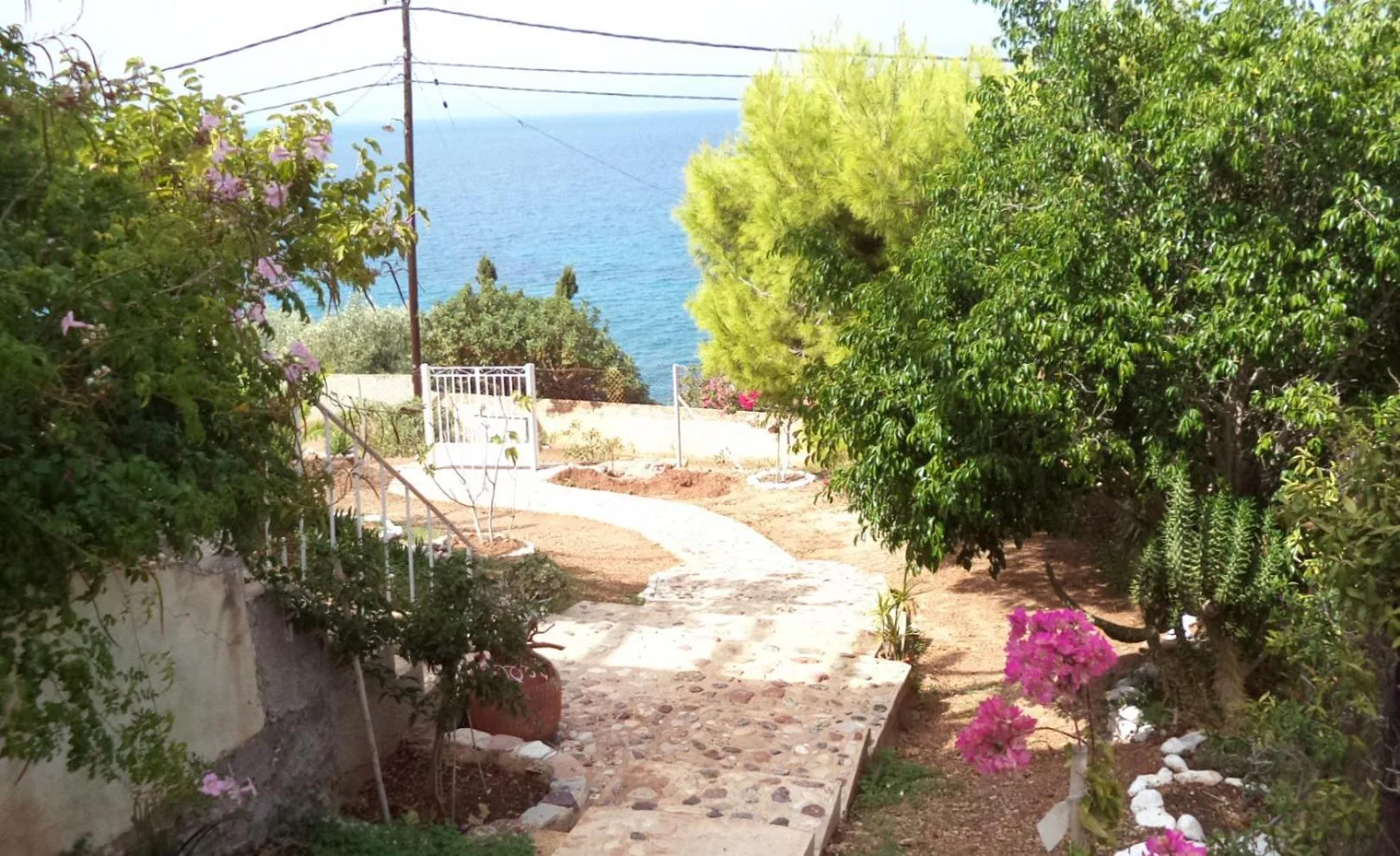 Garden view in Vlichos Studio Apartment