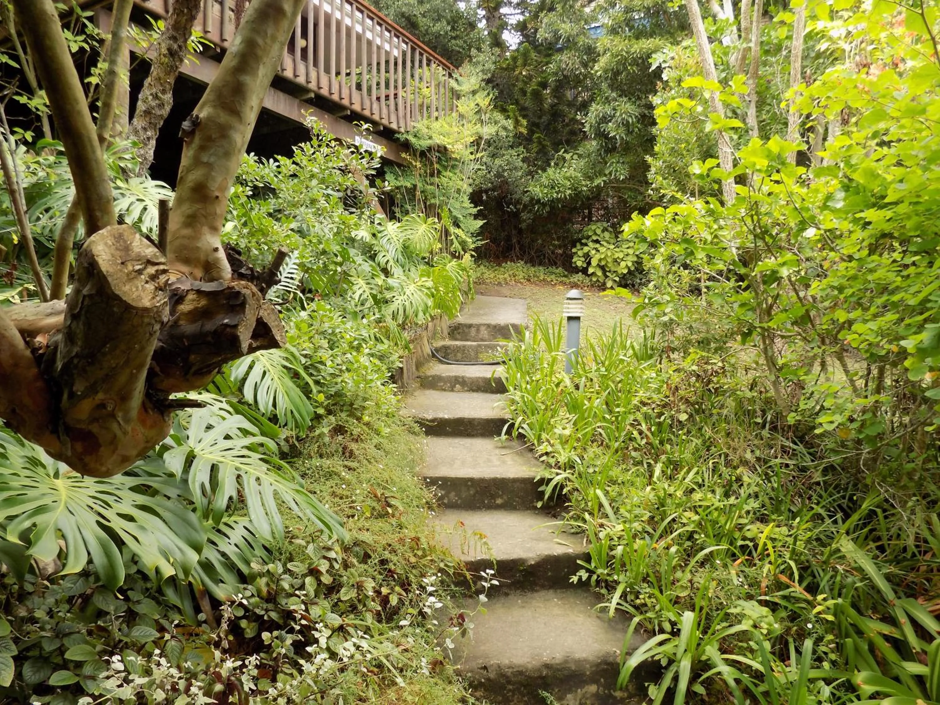 Garden in Protea Guest House