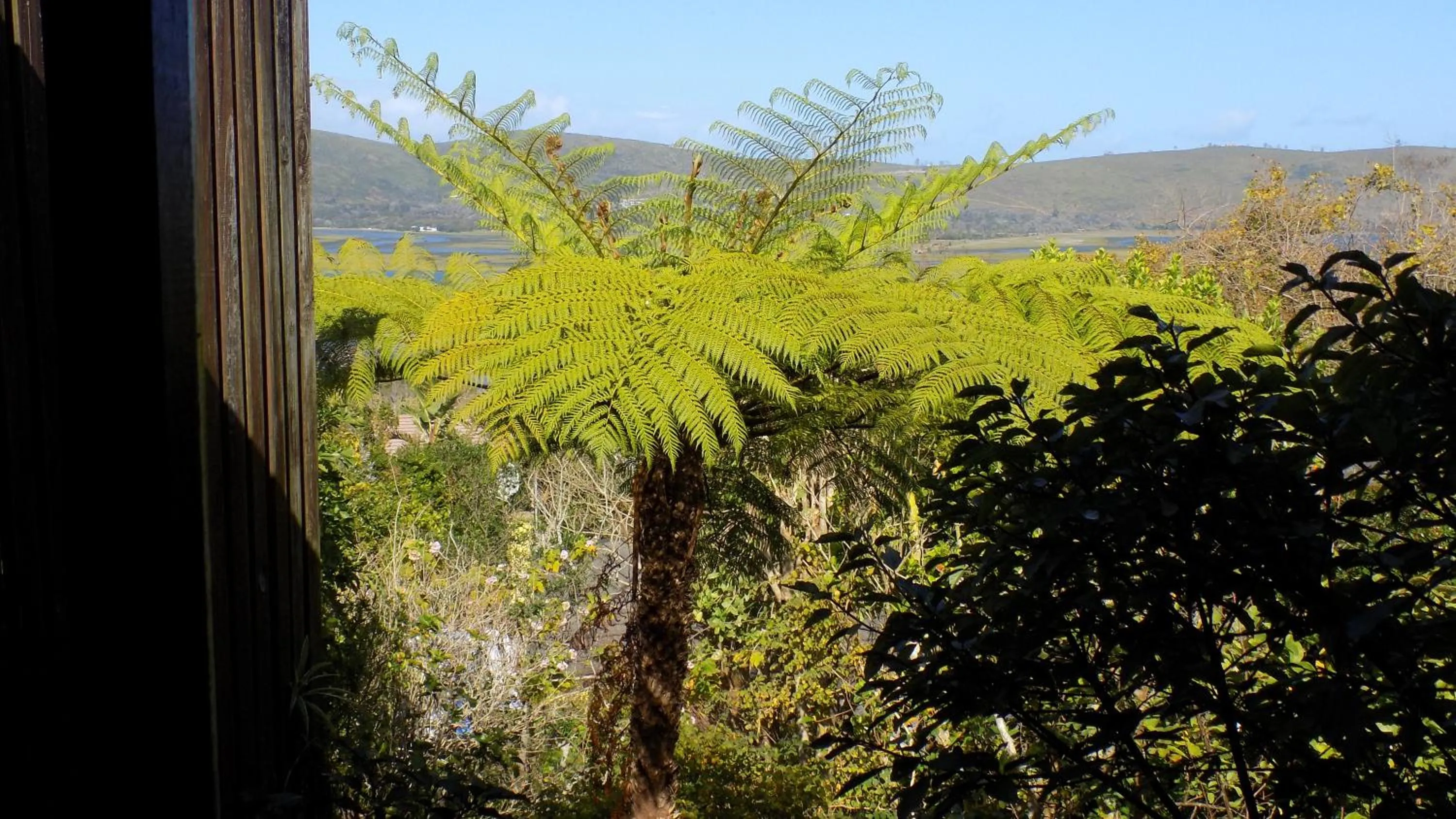 Natural landscape in Protea Guest House