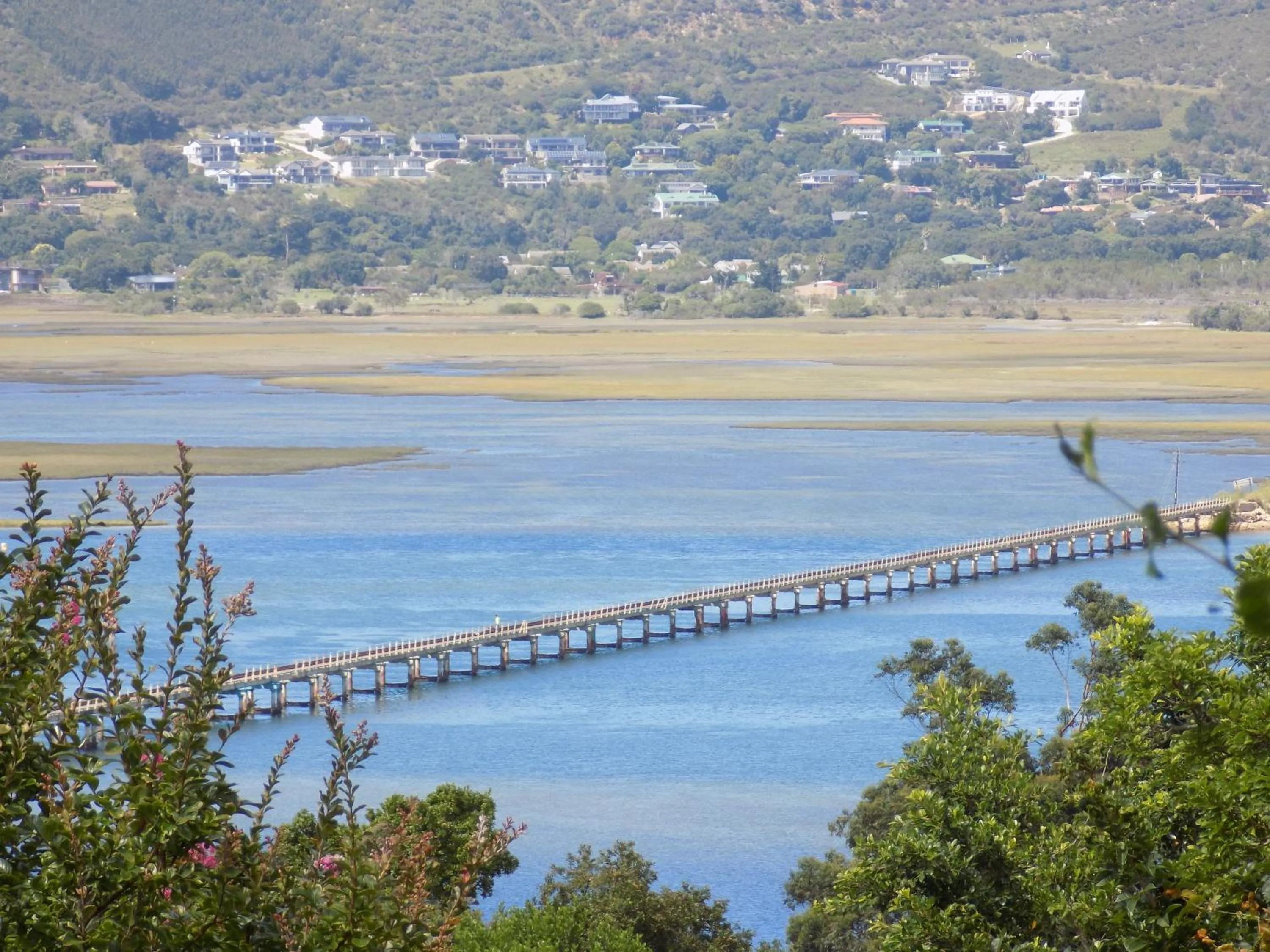 Natural landscape in Protea Guest House