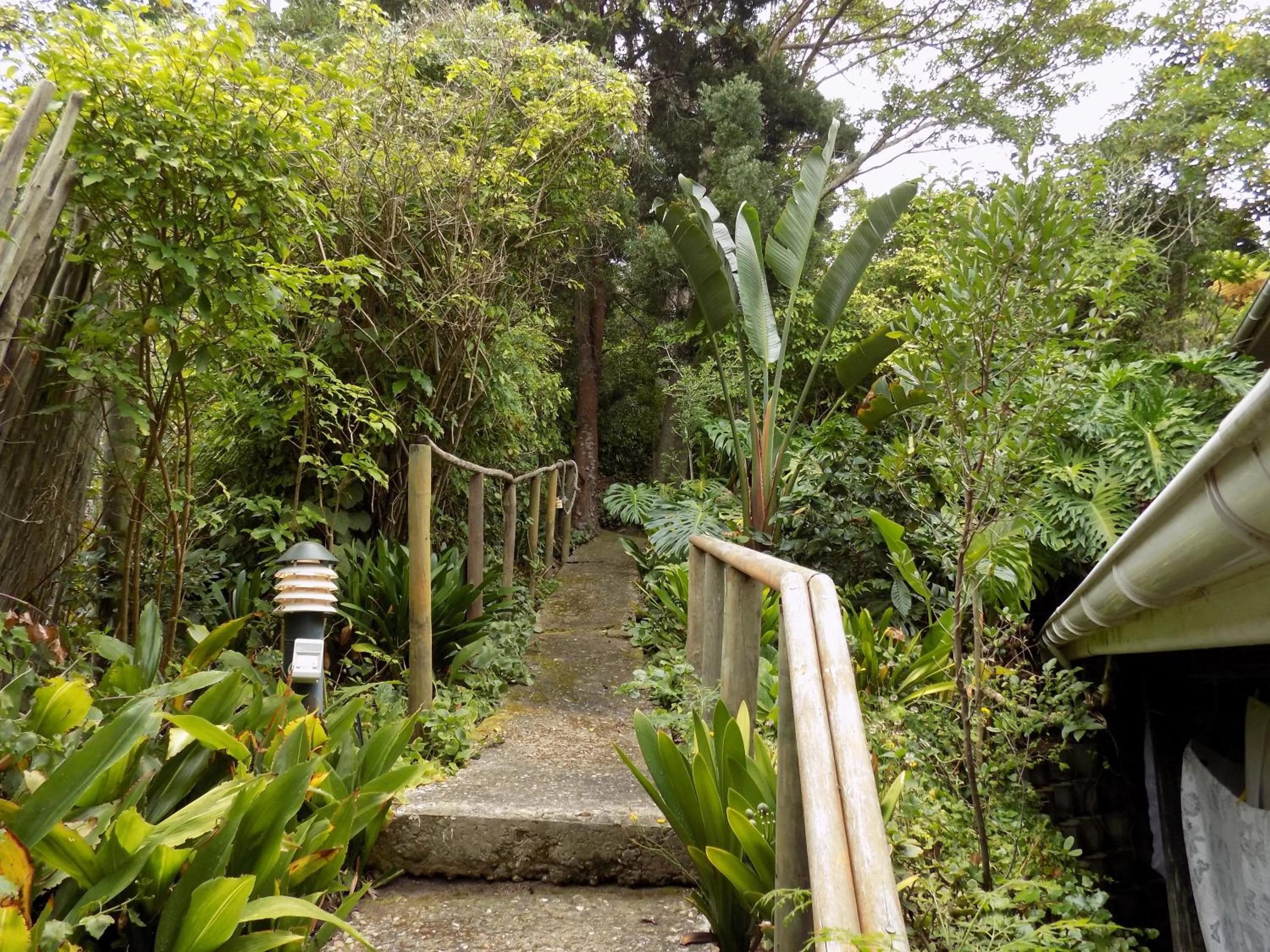 Garden view in Protea Guest House